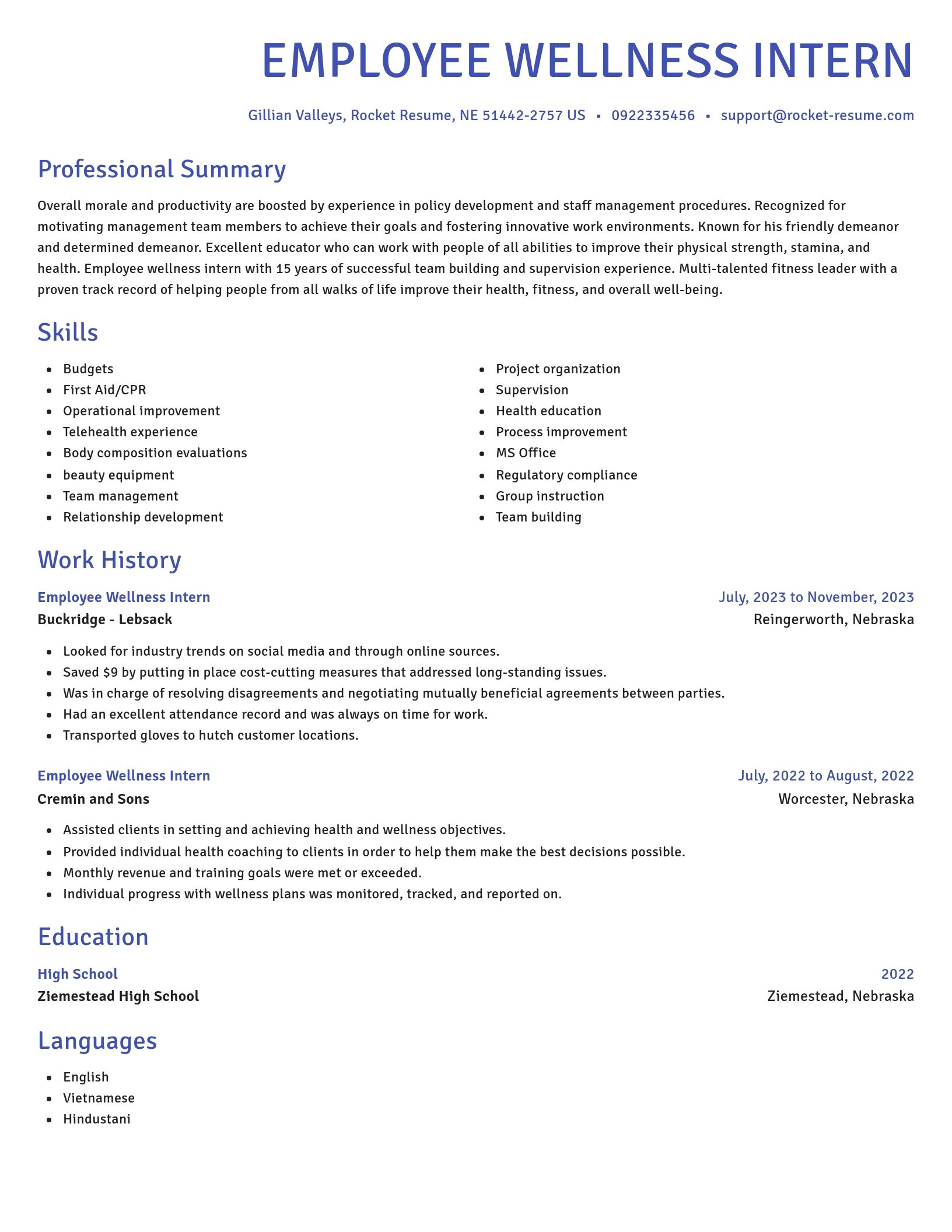 Novel resume template