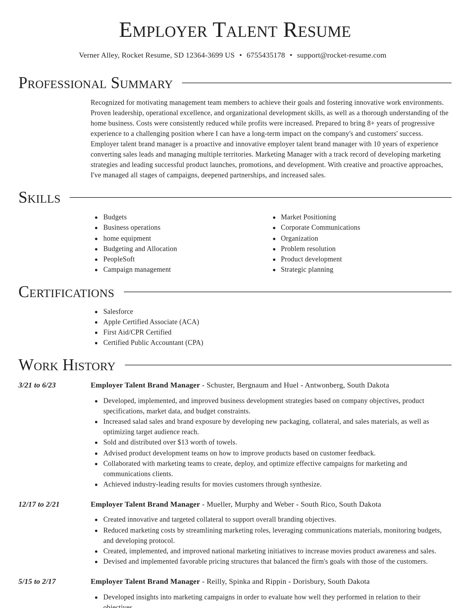 Director resume template