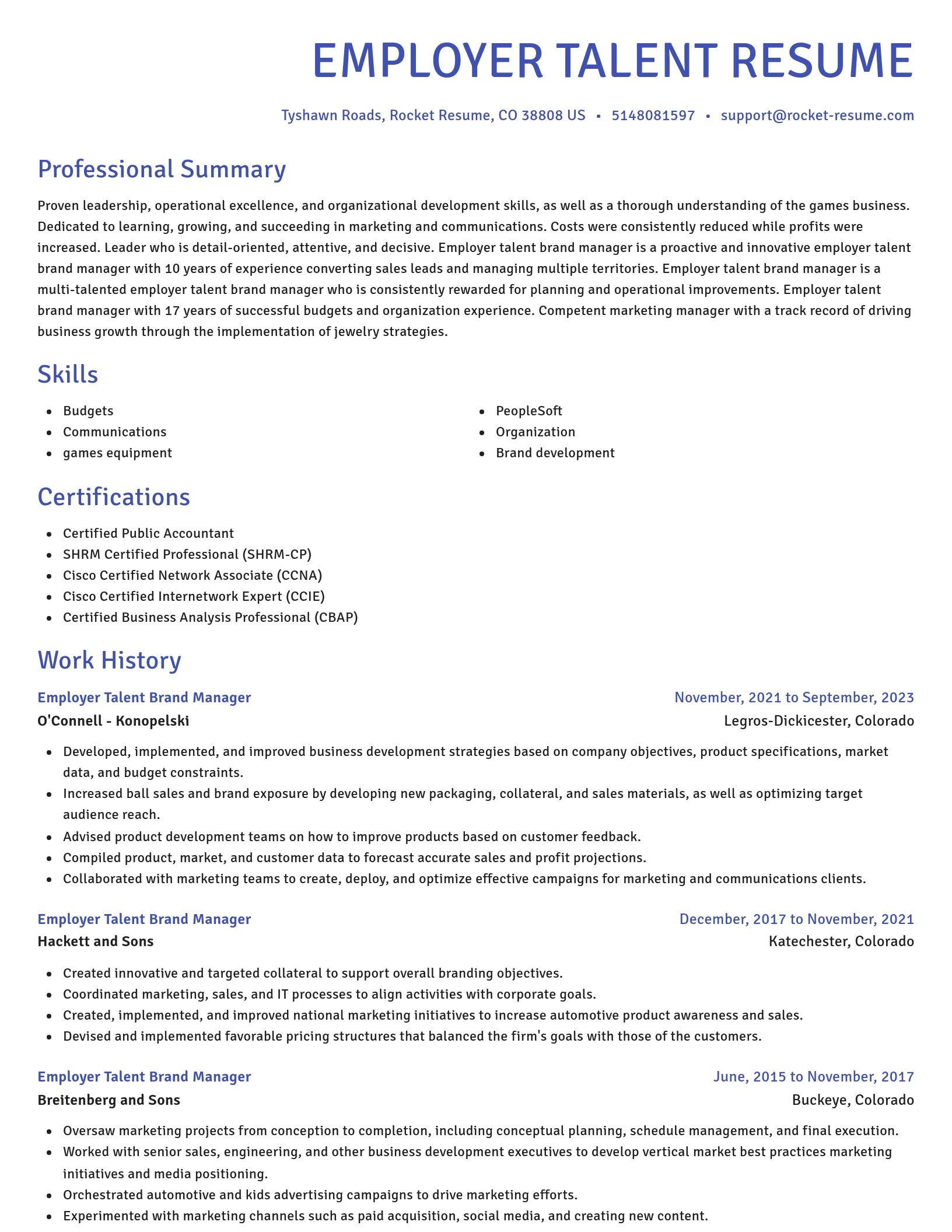 Novel resume template
