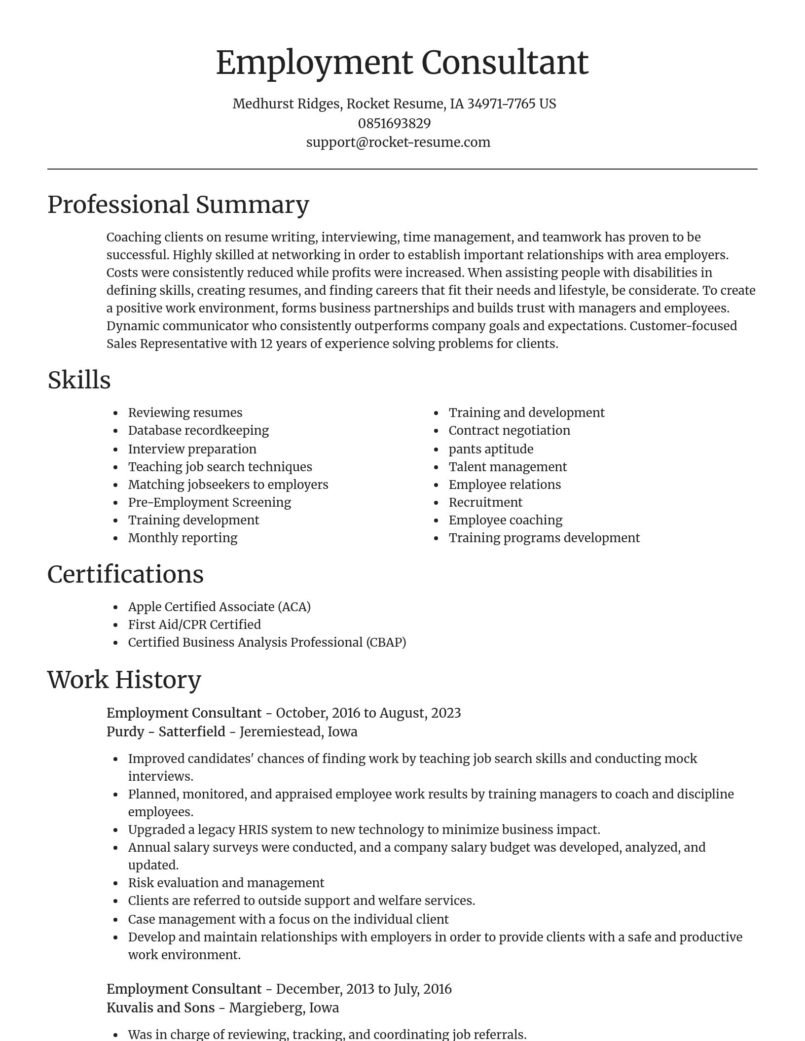 Focal Point resume template