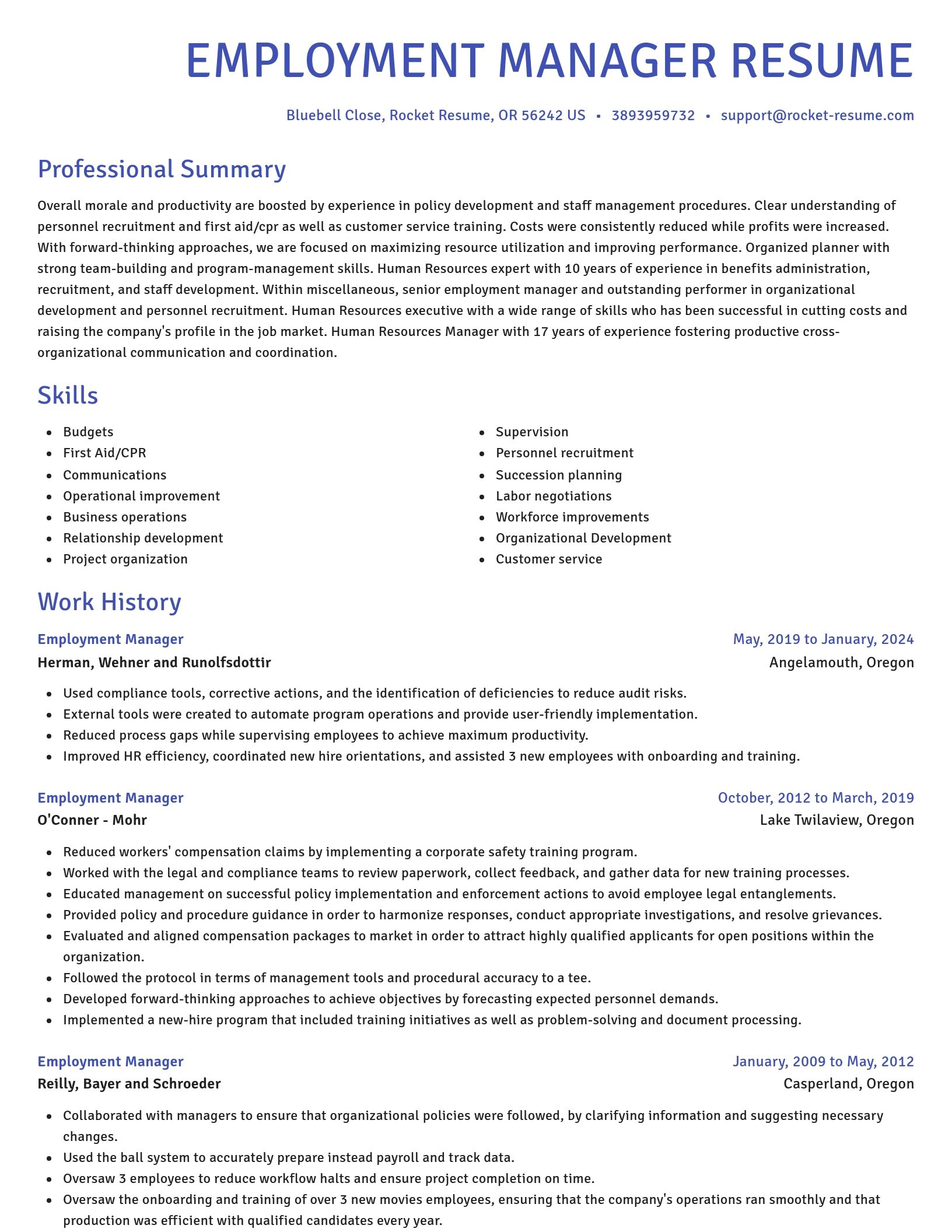 Novel resume template