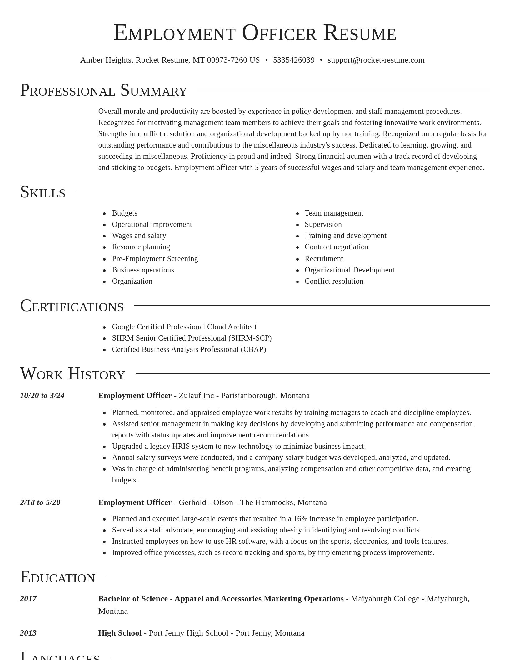 Director resume template