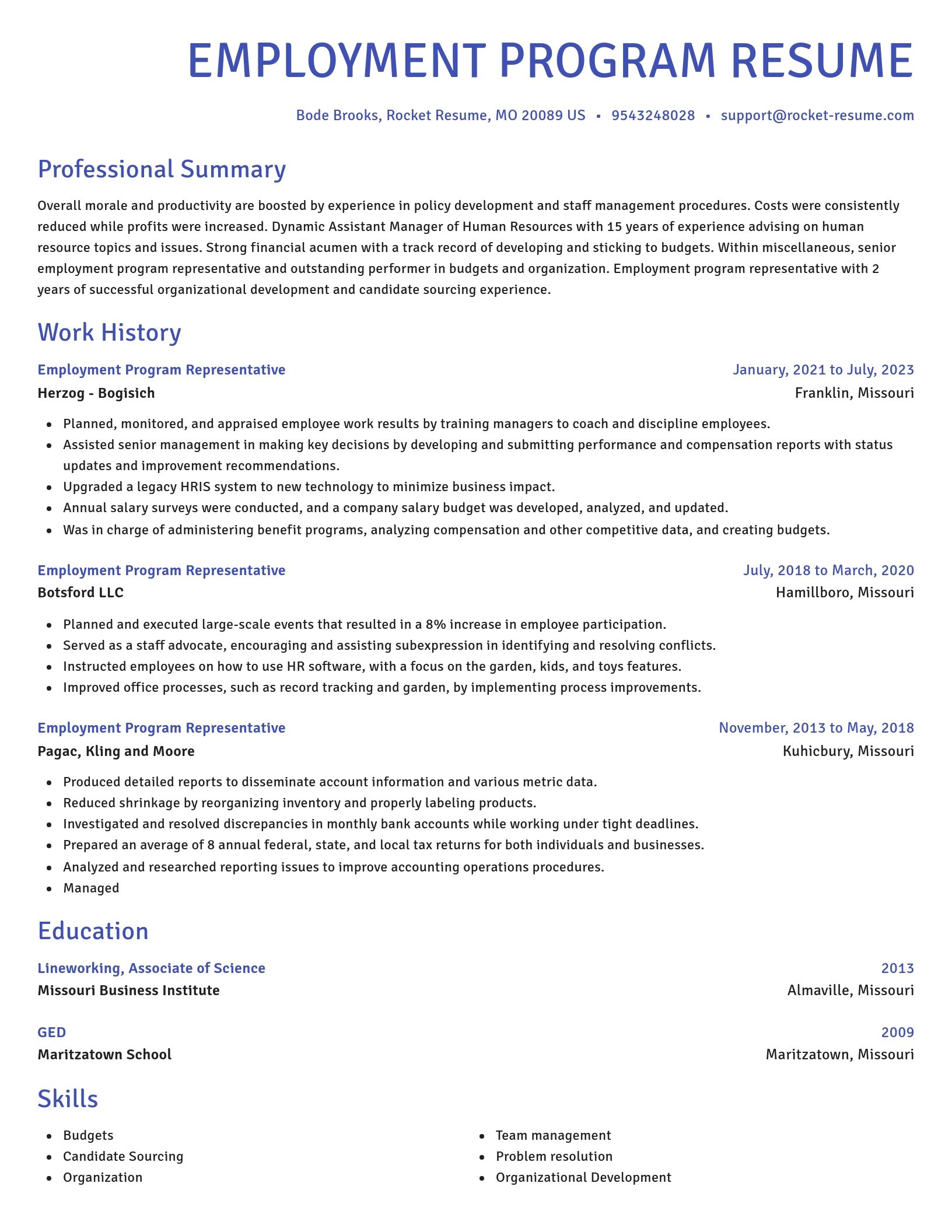 Novel resume template