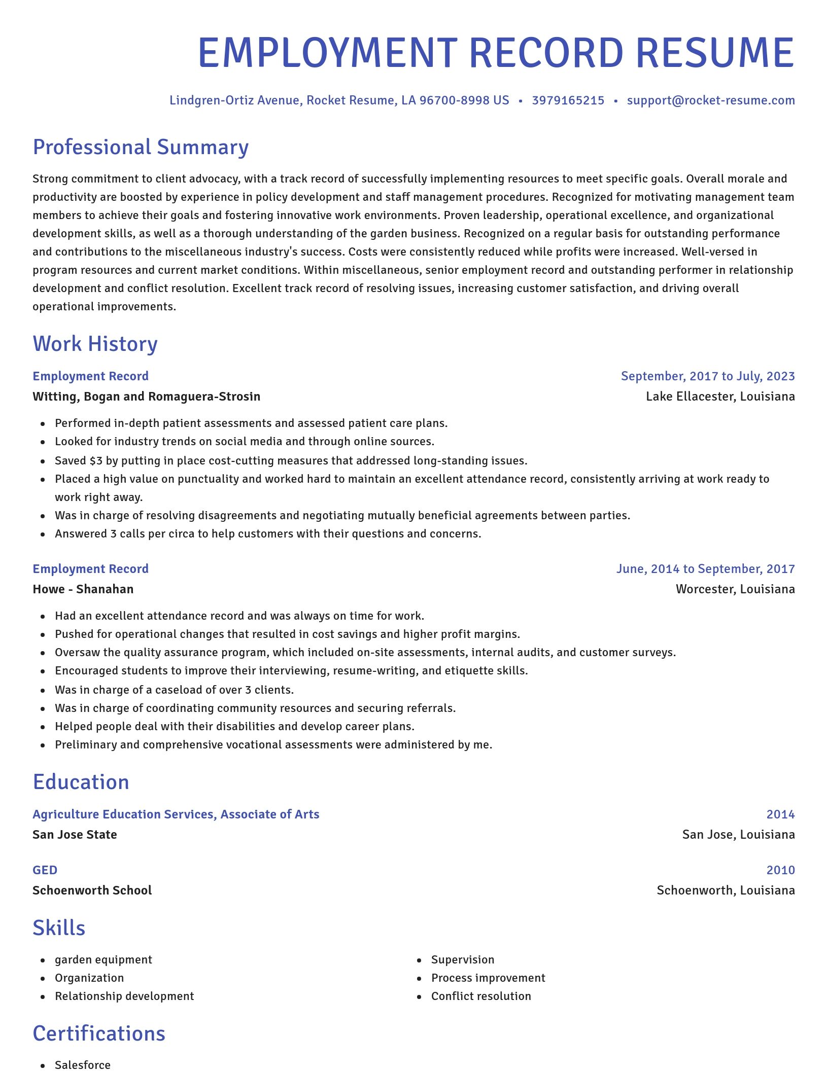 Novel resume template
