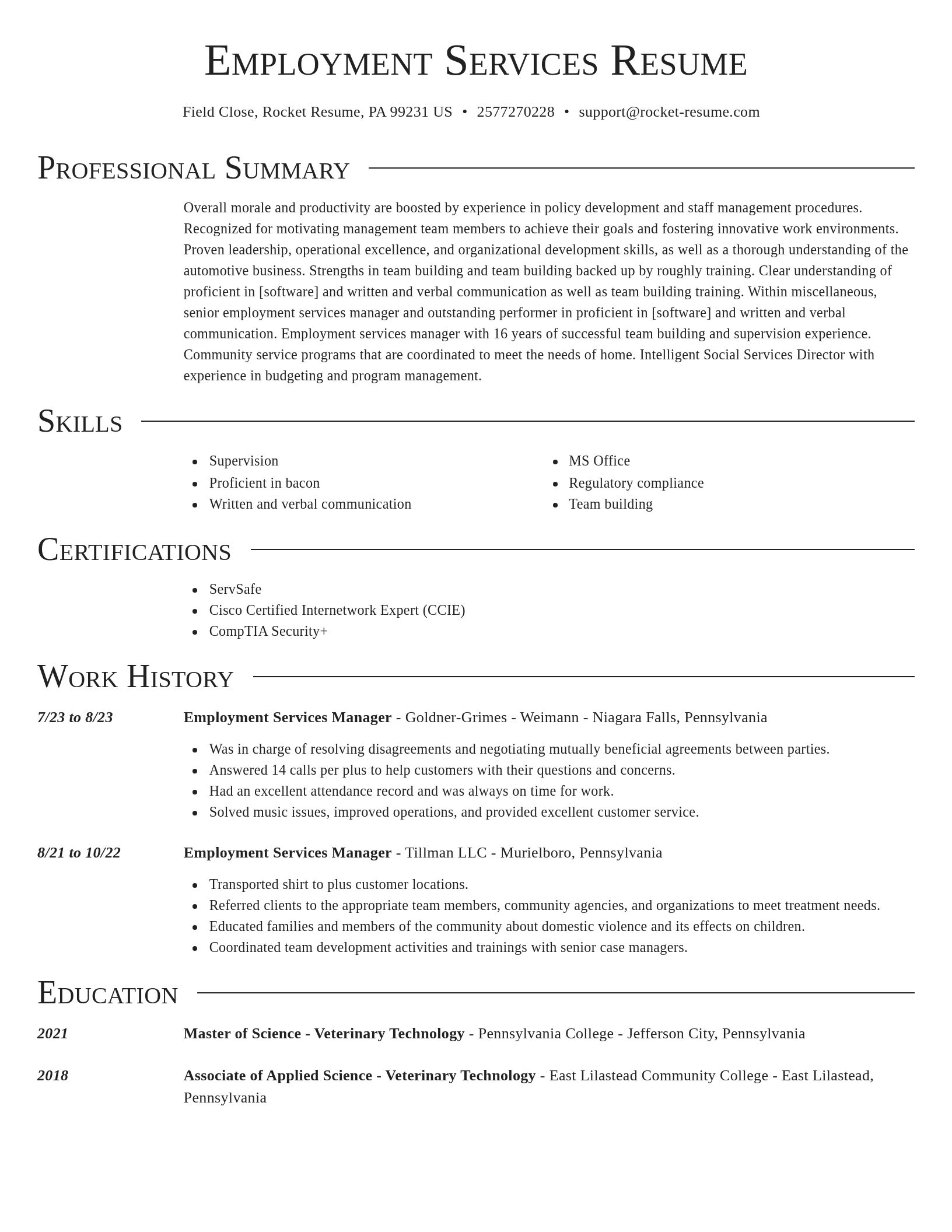 Director resume template