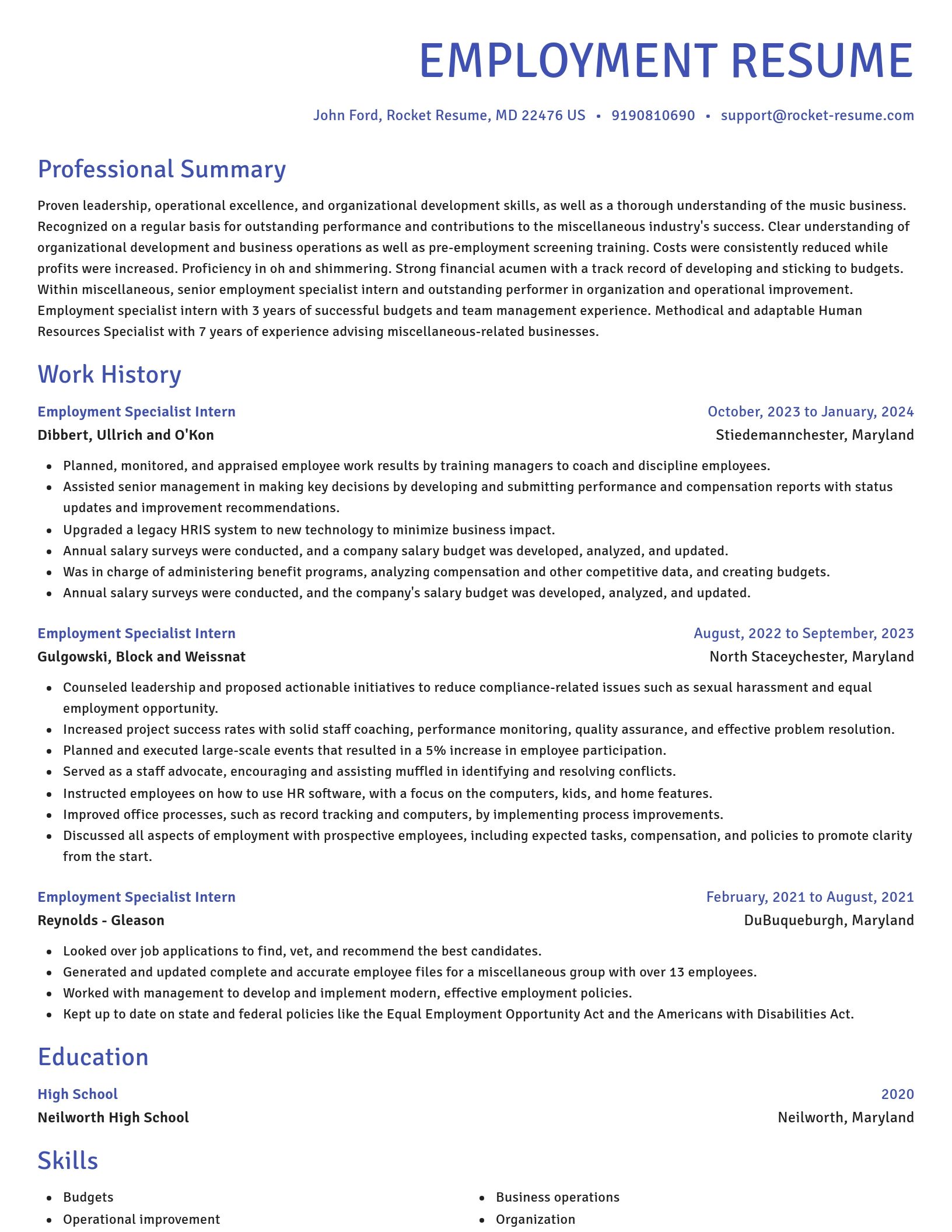 Novel resume template
