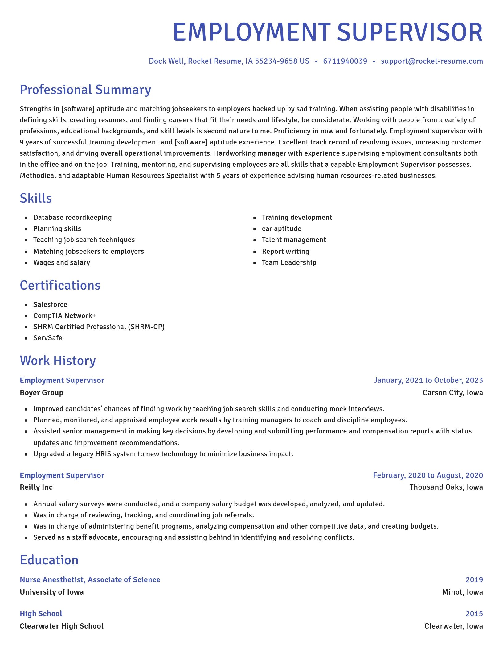 Novel resume template