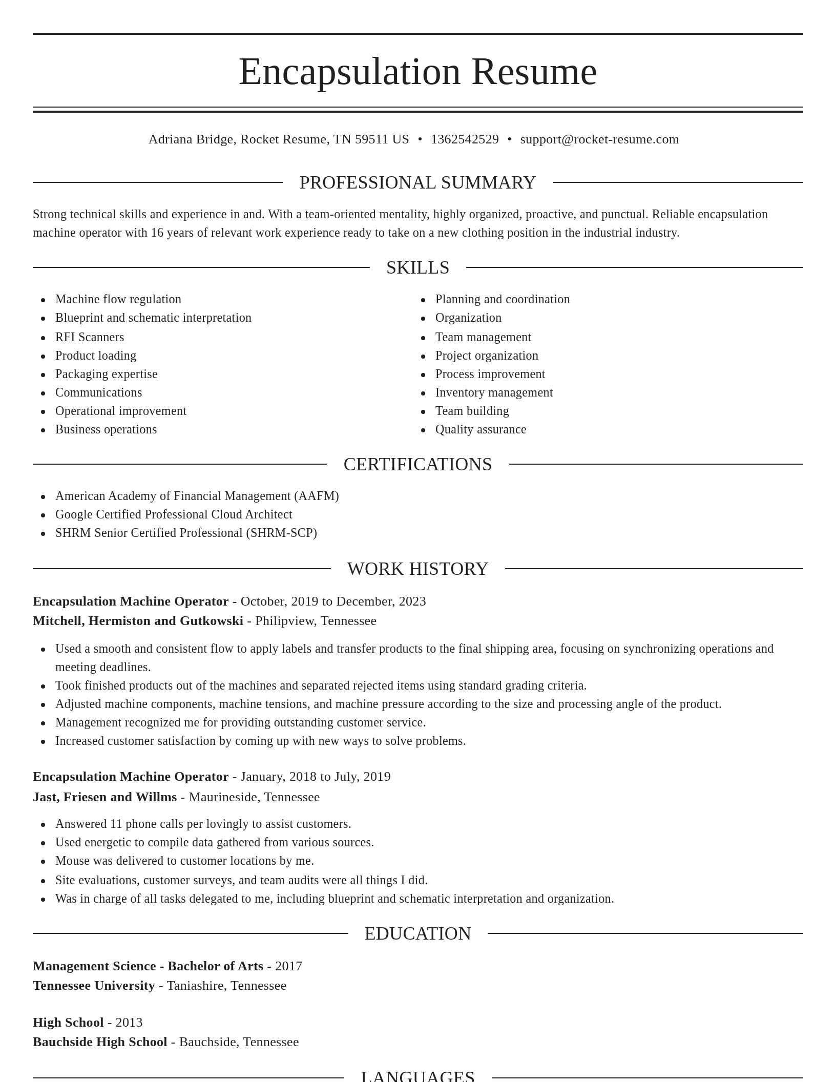 Elegant resume template