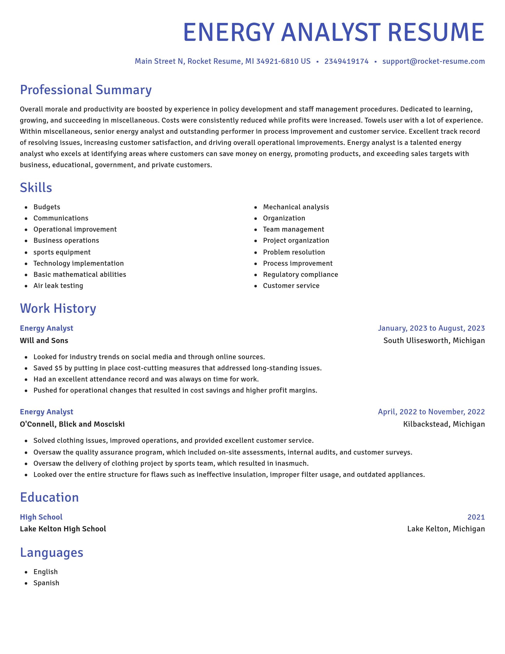 Novel resume template