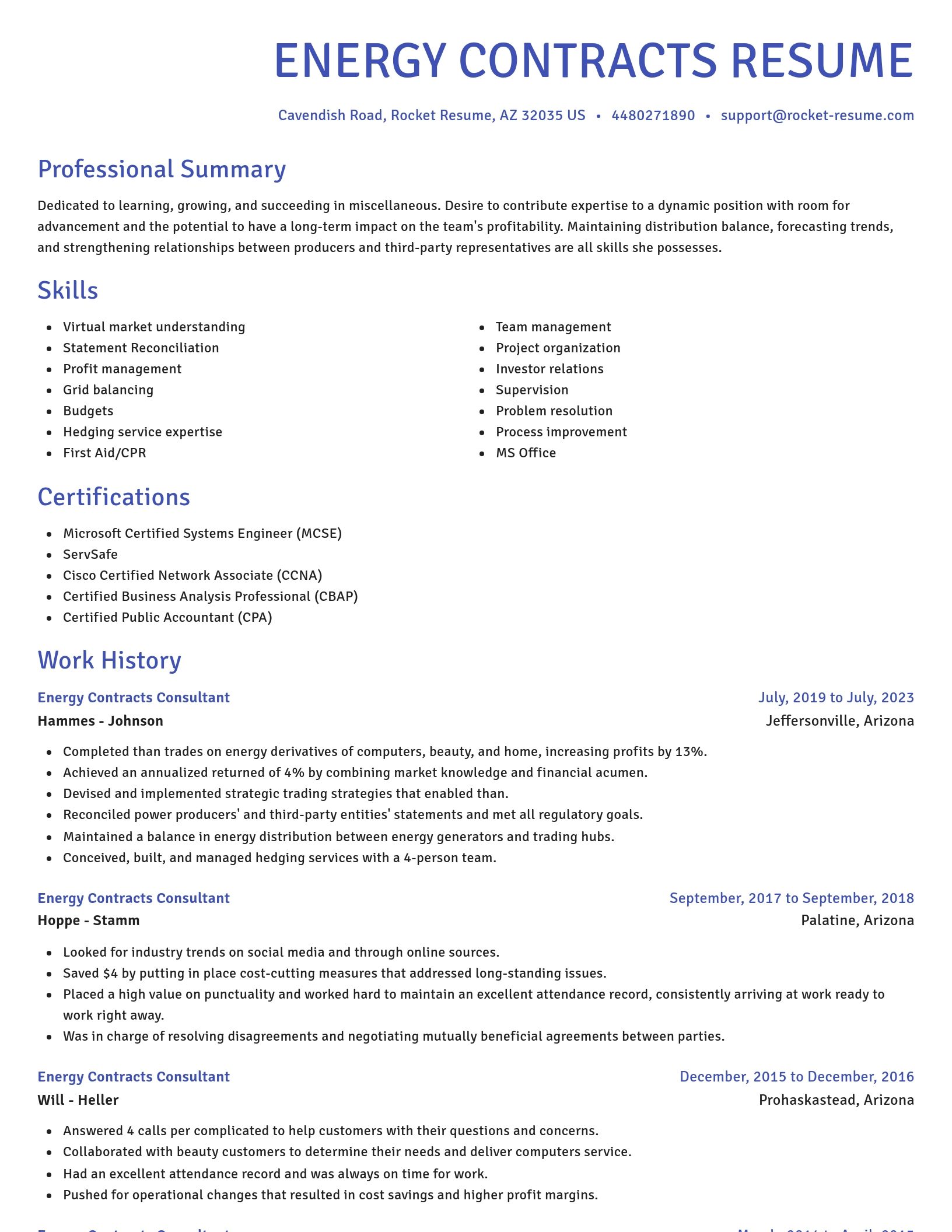 Novel resume template