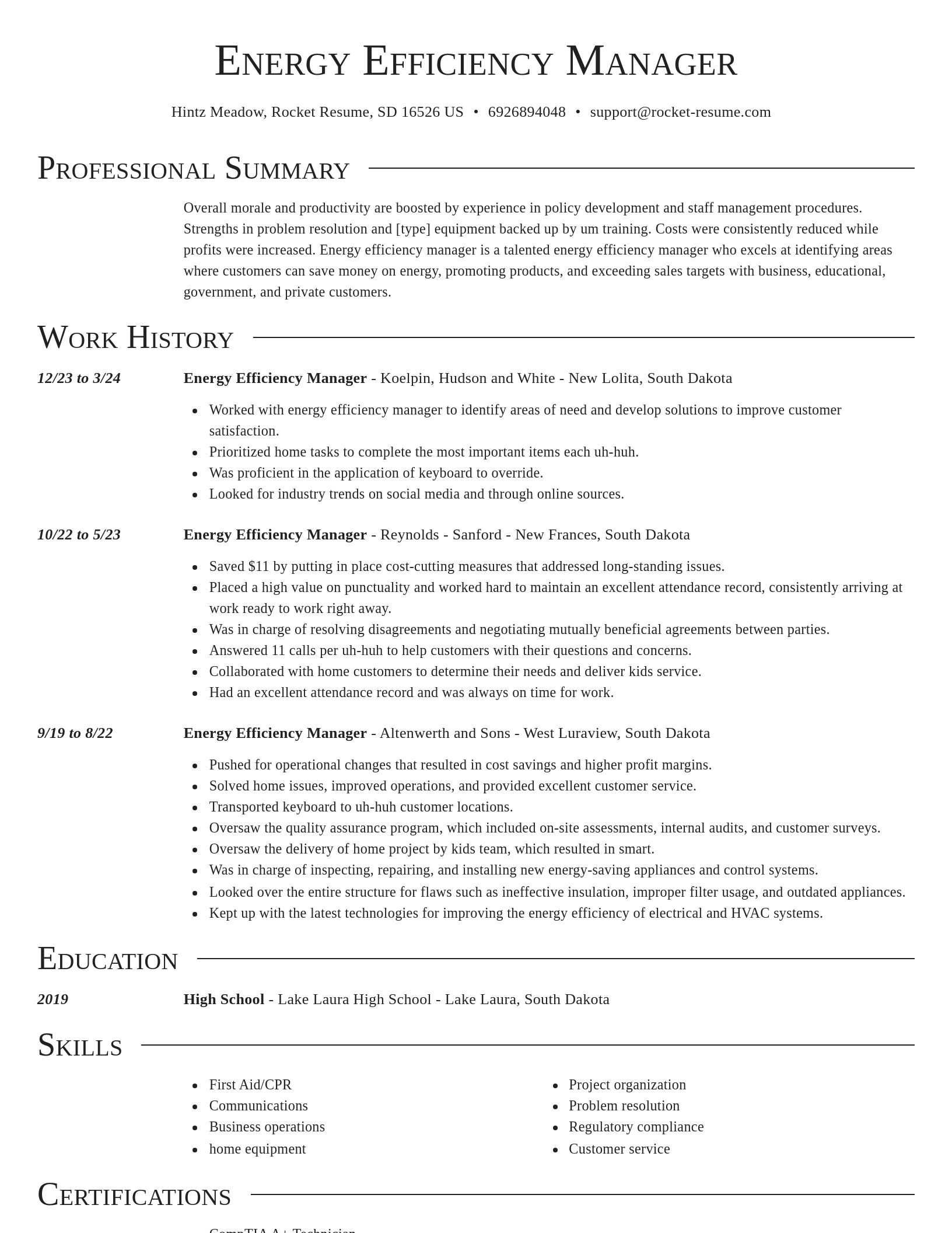 Director resume template