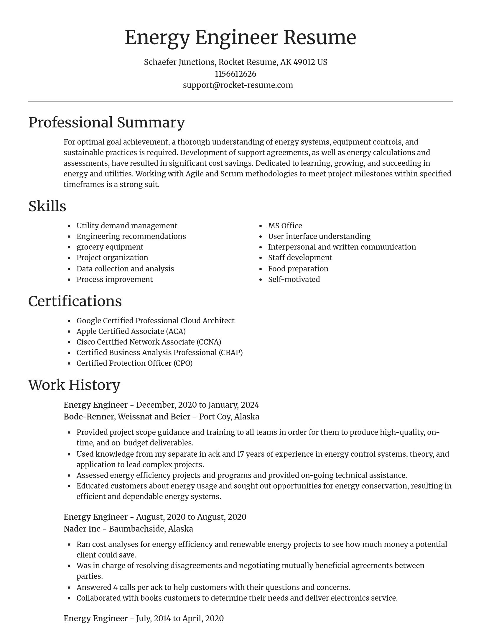 Focal Point resume template
