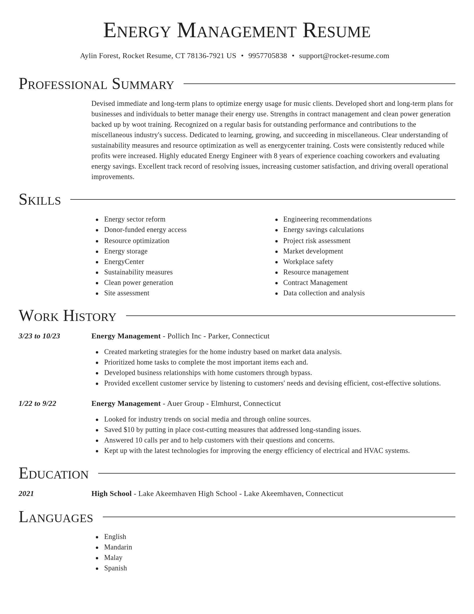Director resume template