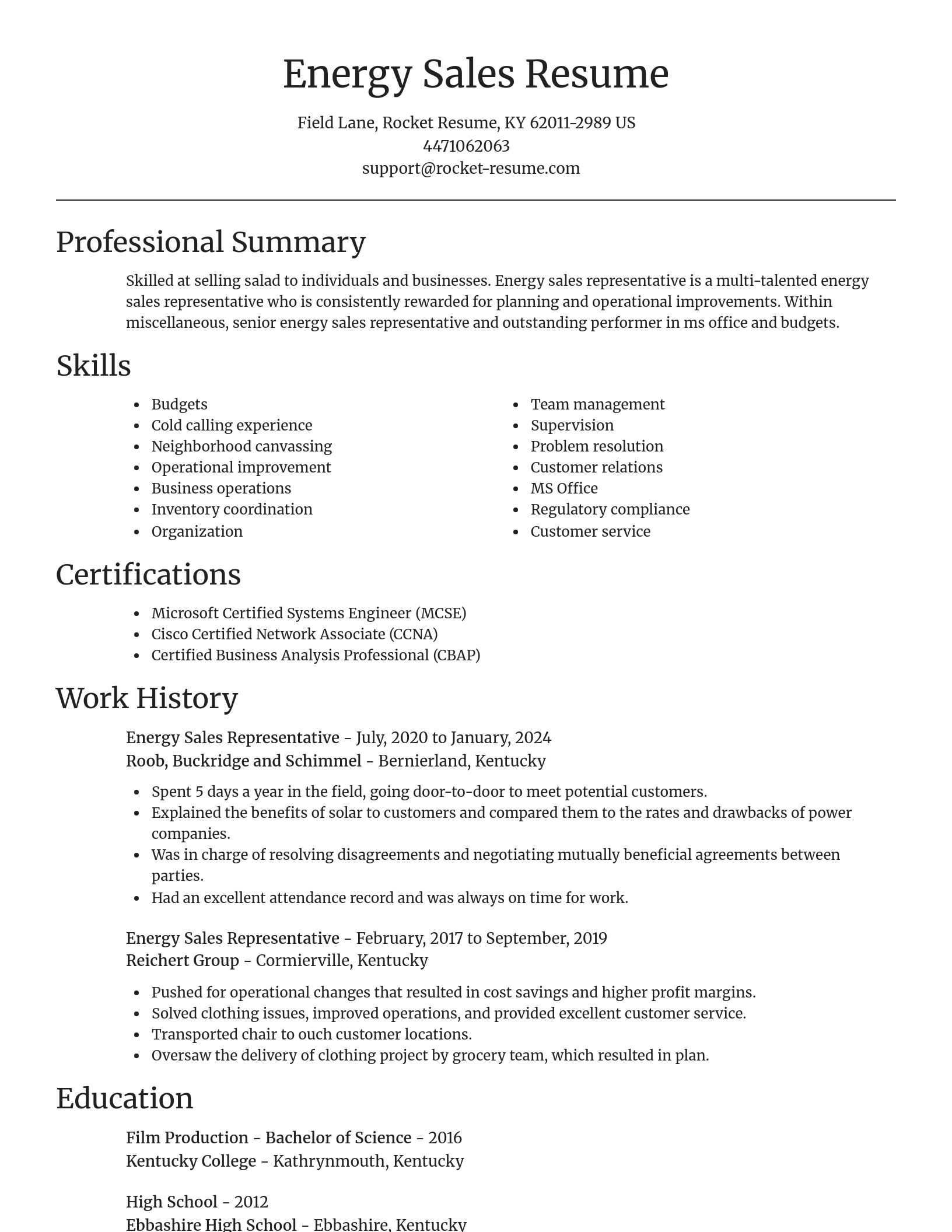 Focal Point resume template