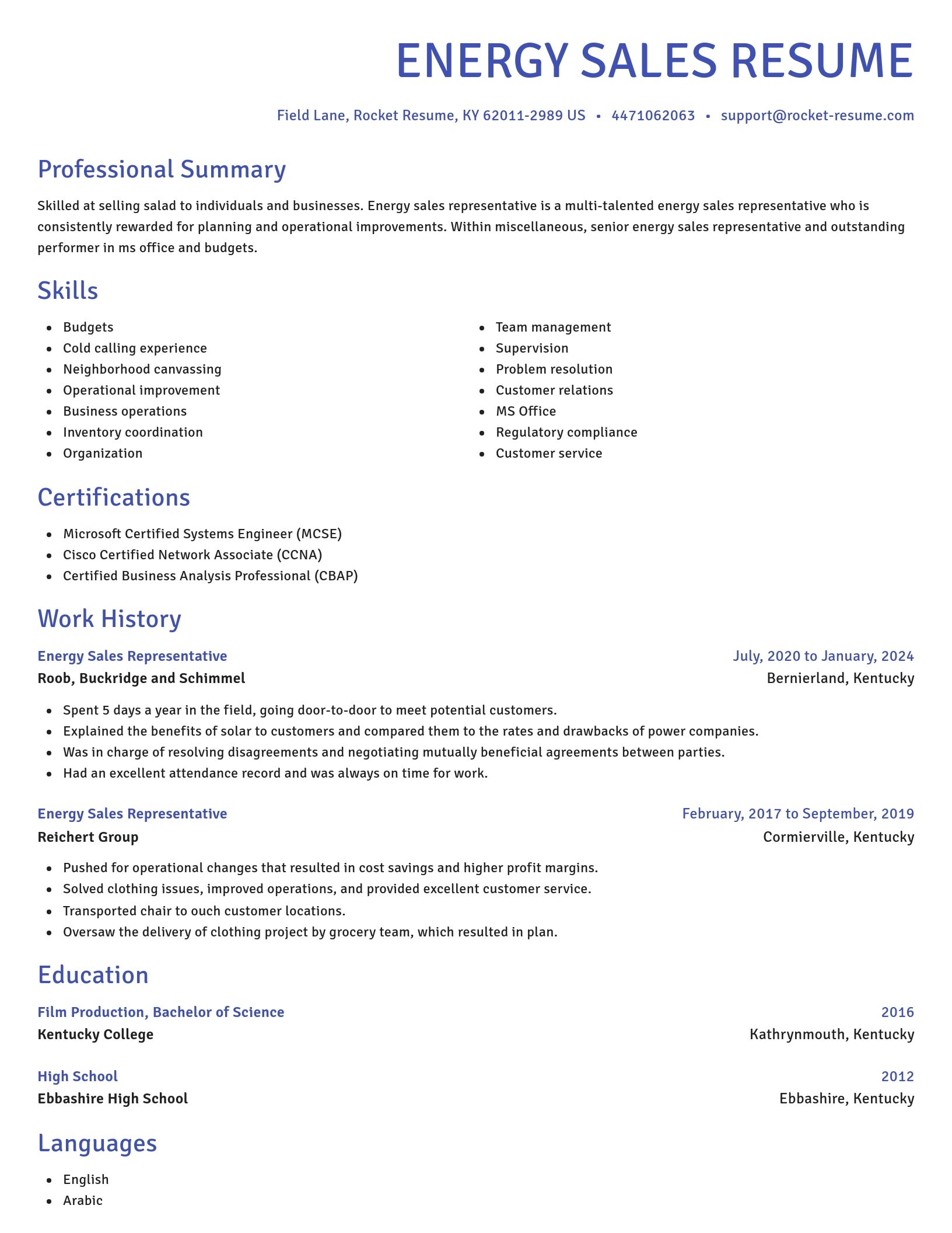 Novel resume template