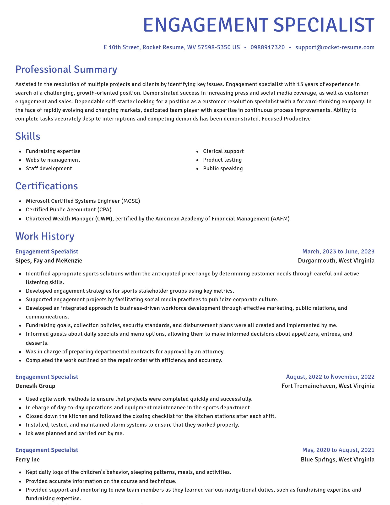Novel resume template