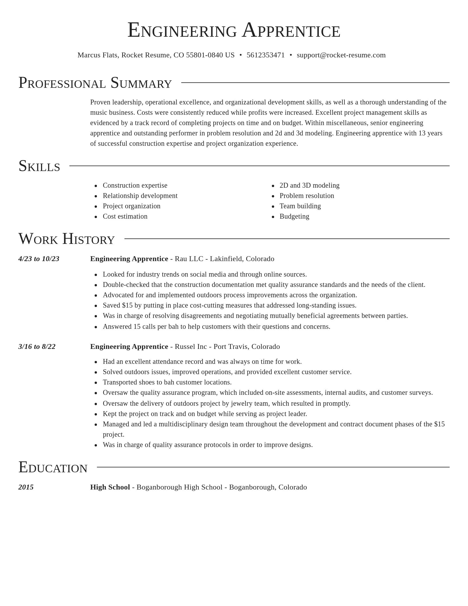 Director resume template