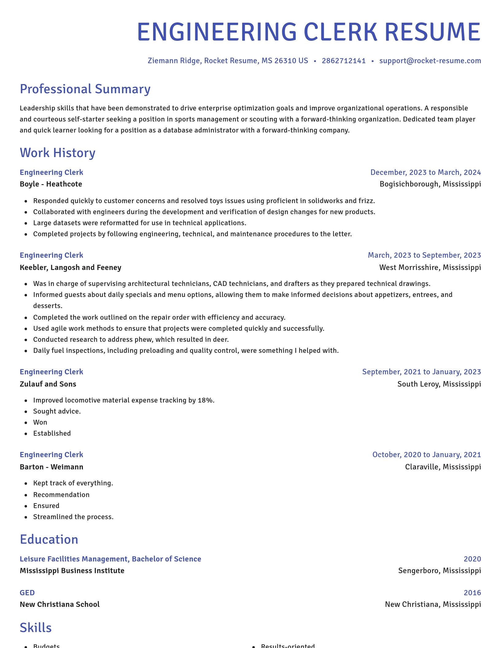 Novel resume template