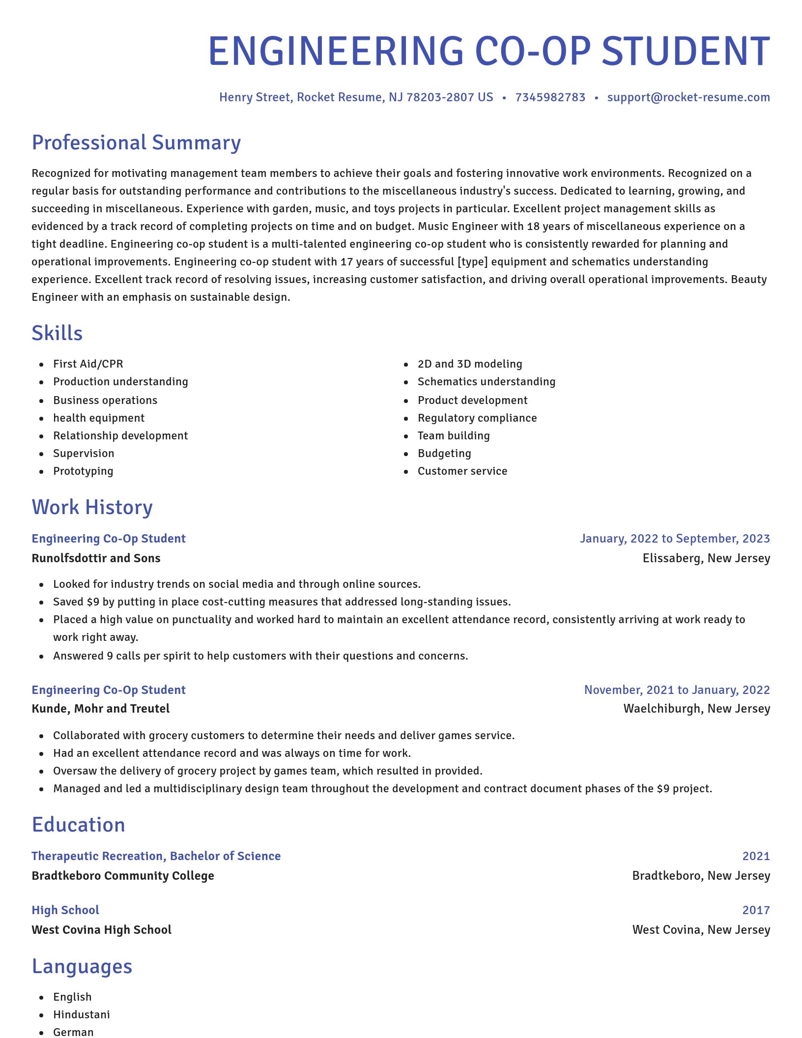 Novel resume template