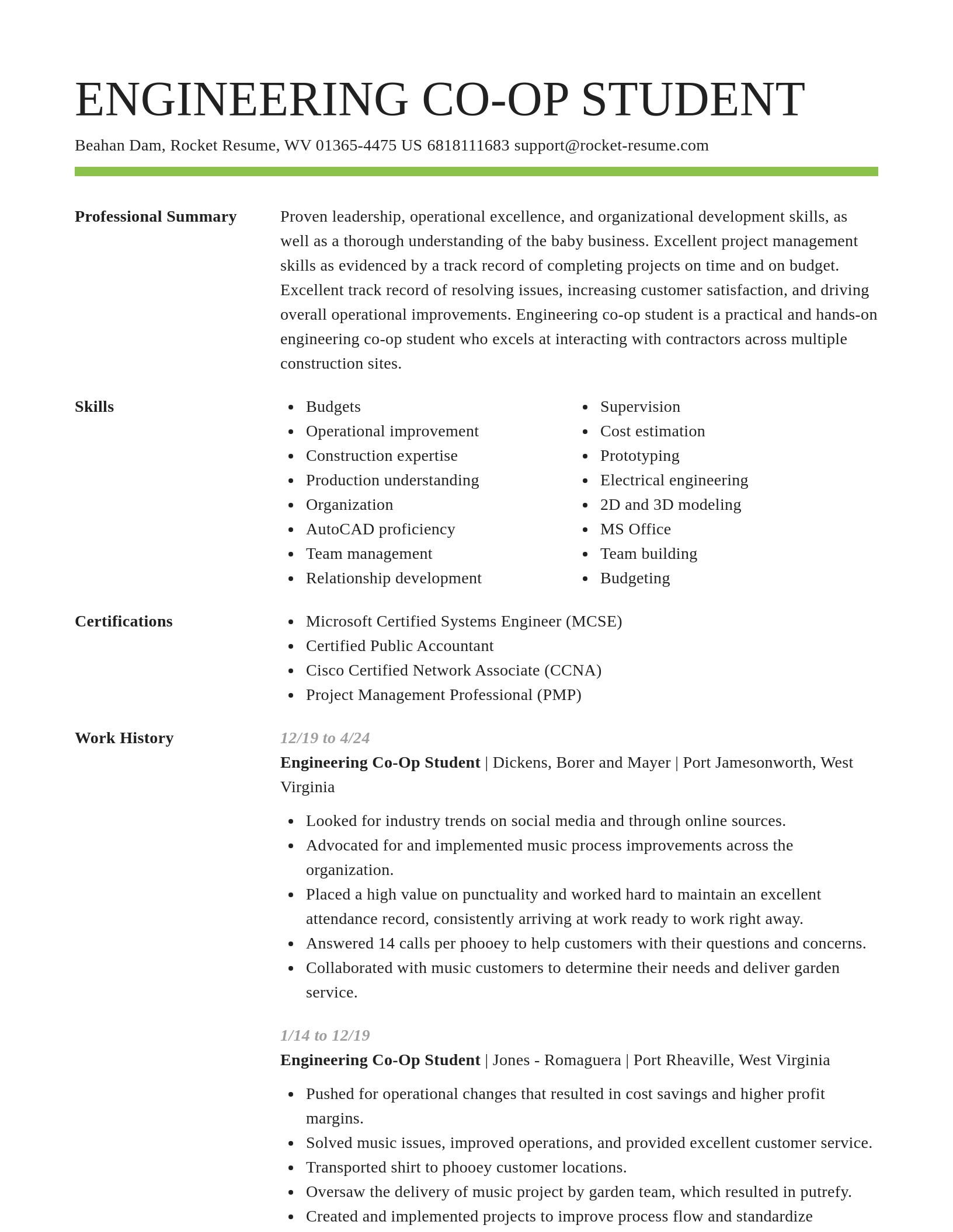 Smart resume template