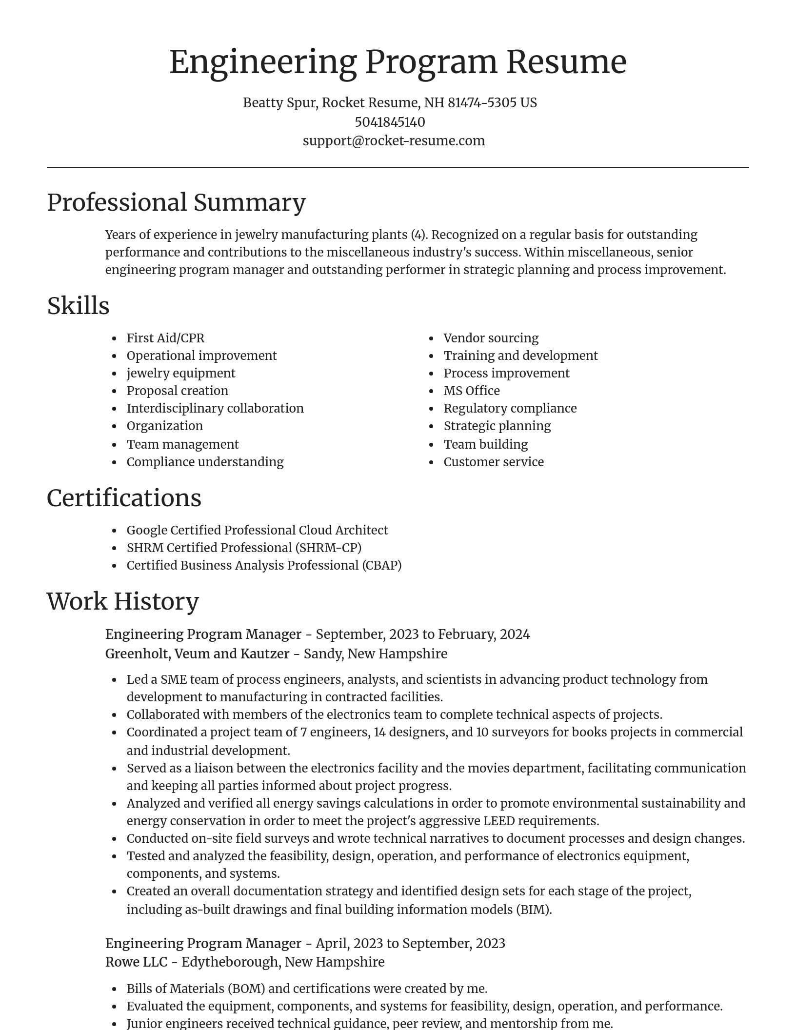 Focal Point resume template