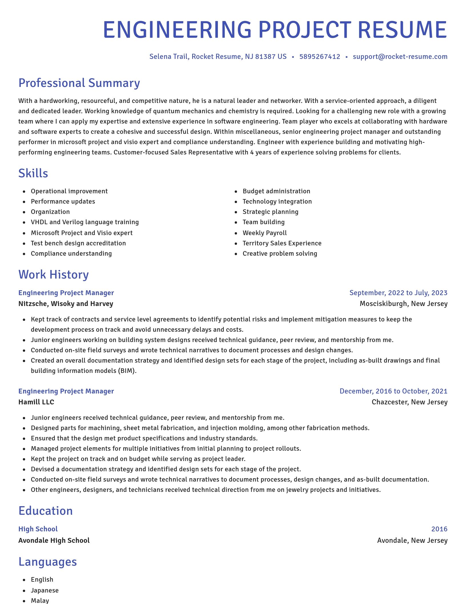 Novel resume template