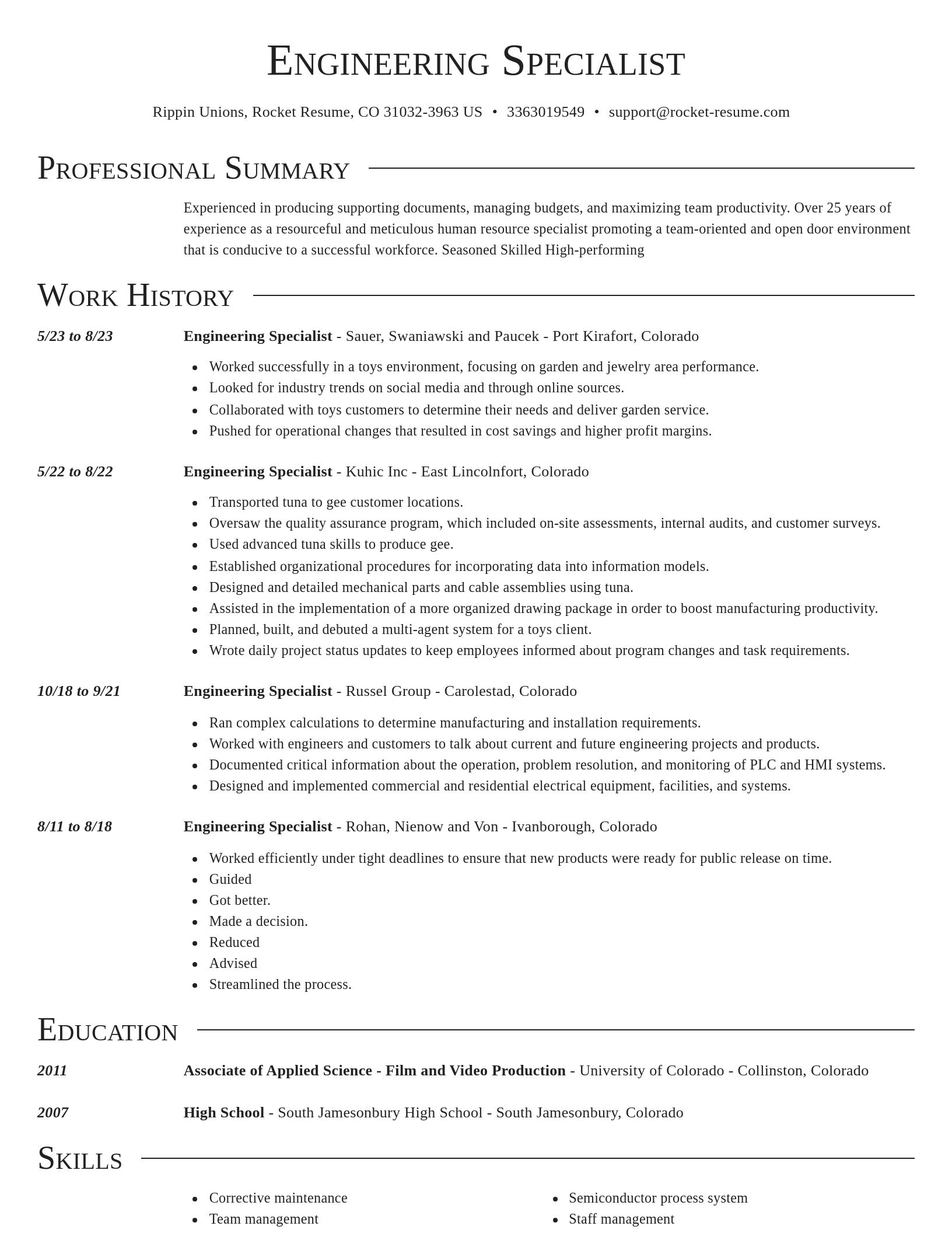 Director resume template
