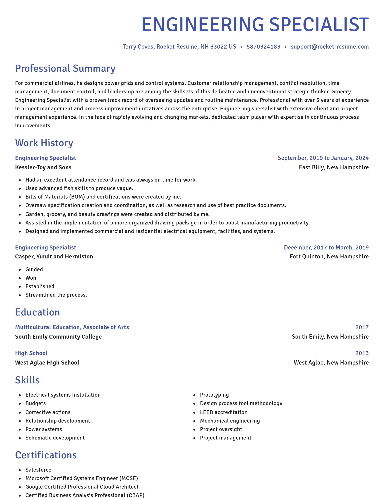 Novel resume template