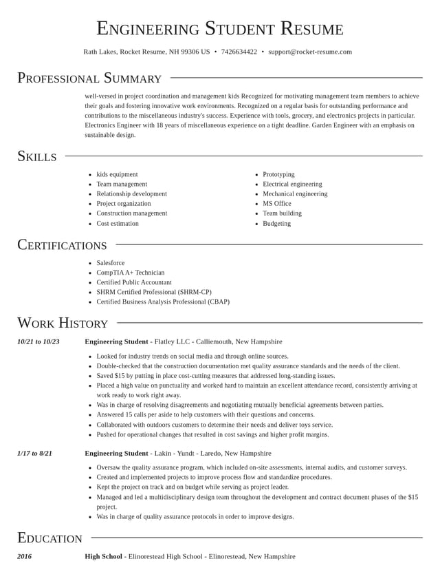 Director resume template