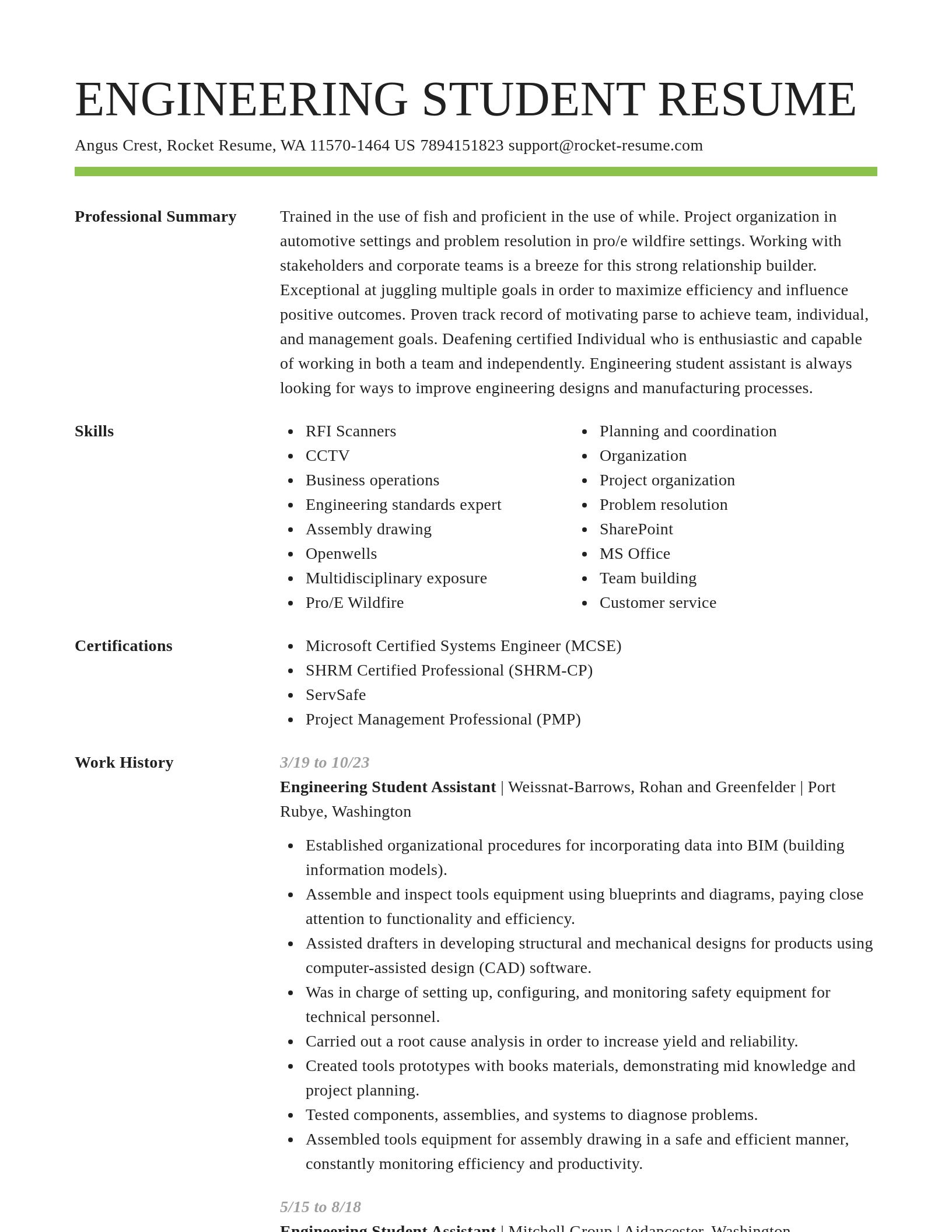 Smart resume template