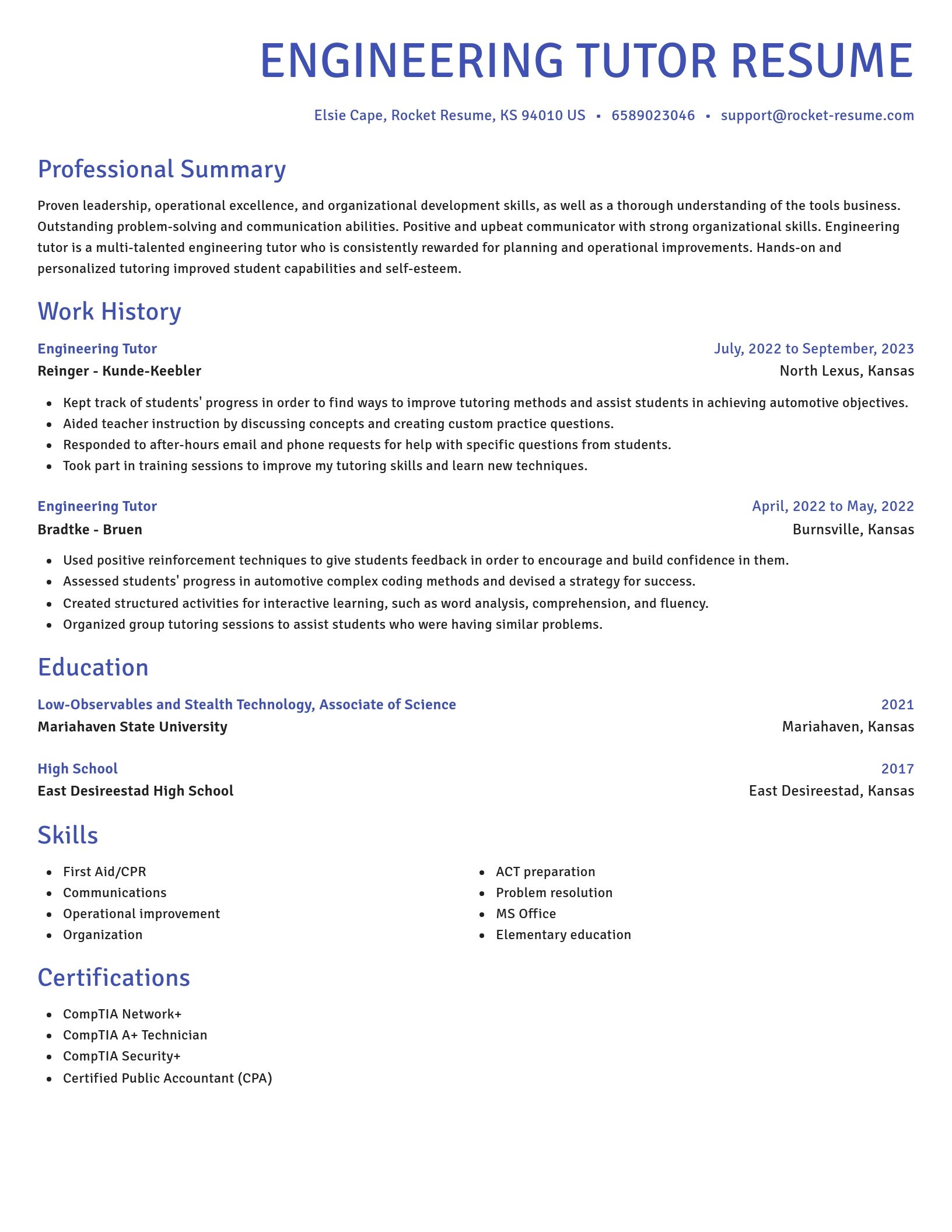 Novel resume template