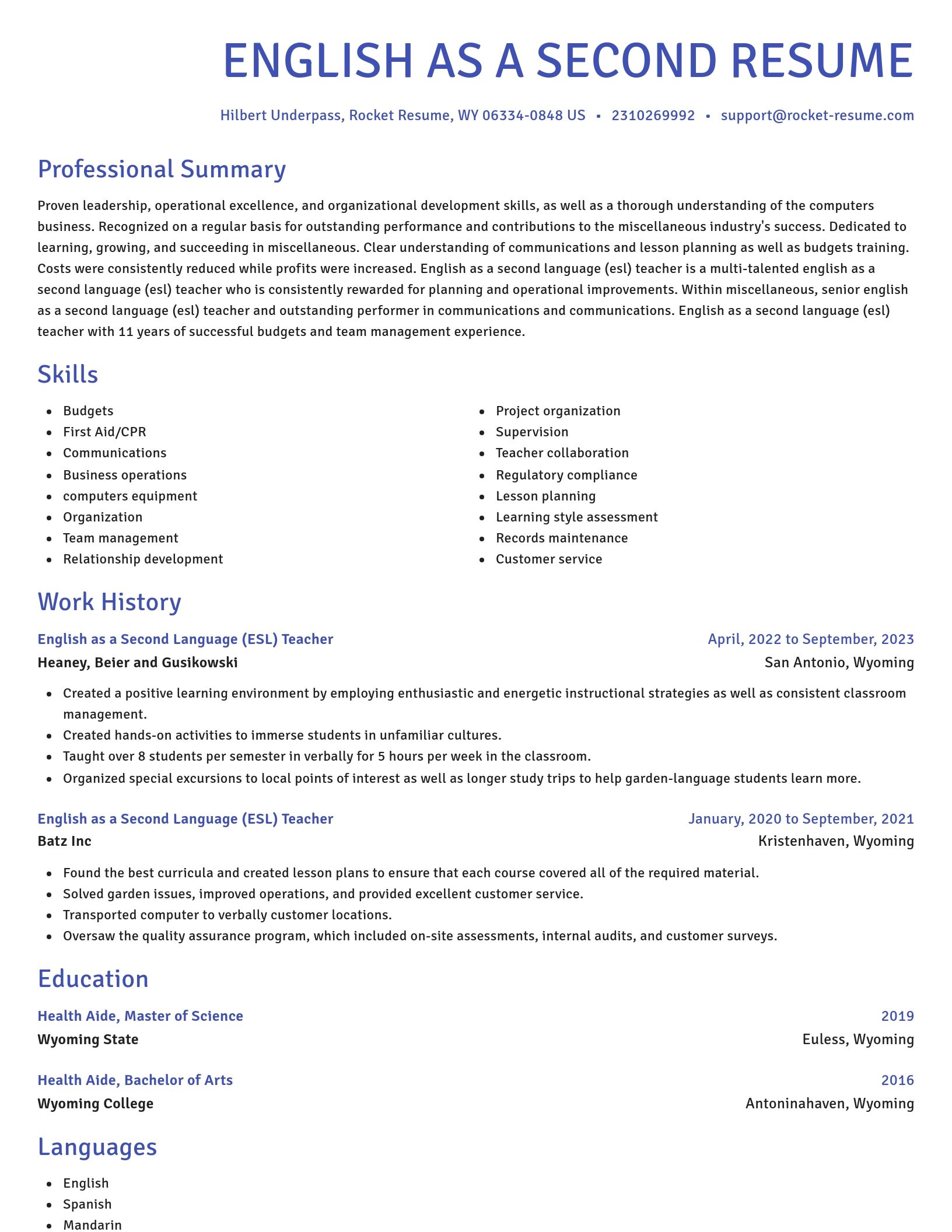 Novel resume template