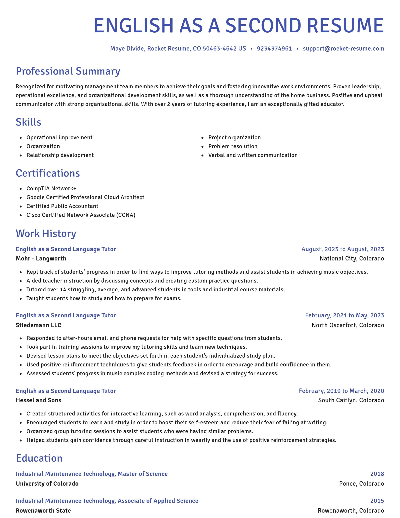 Novel resume template
