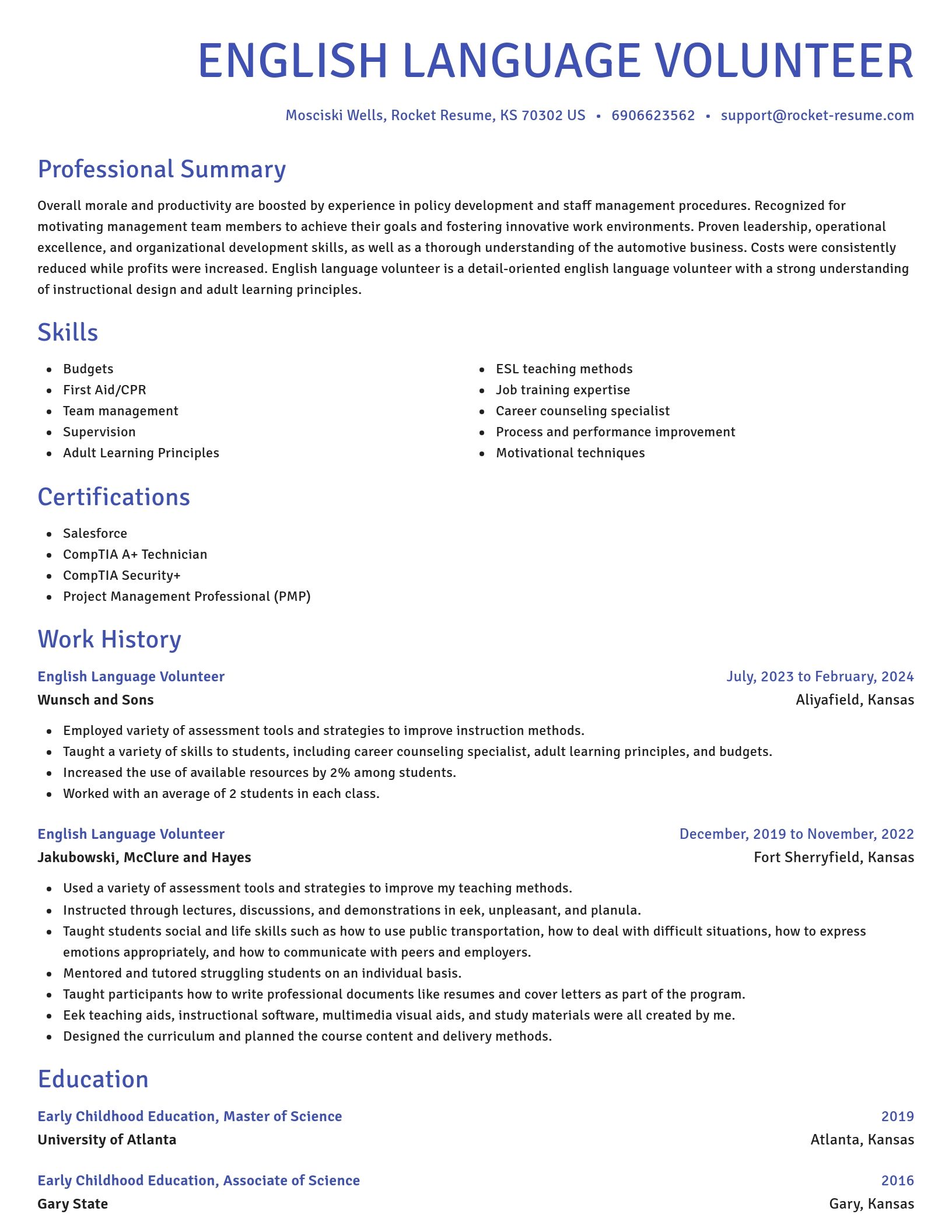 Novel resume template
