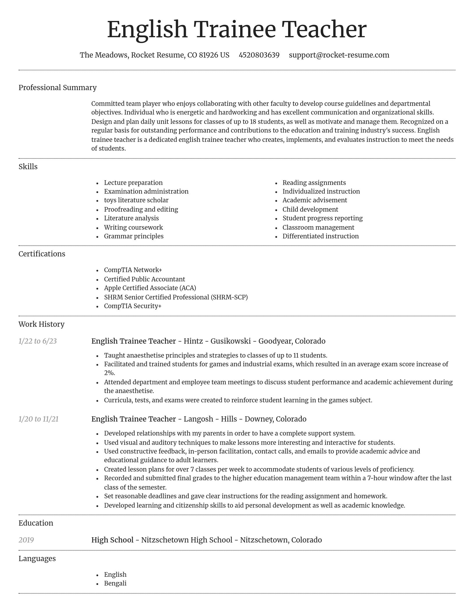 Dignified resume template