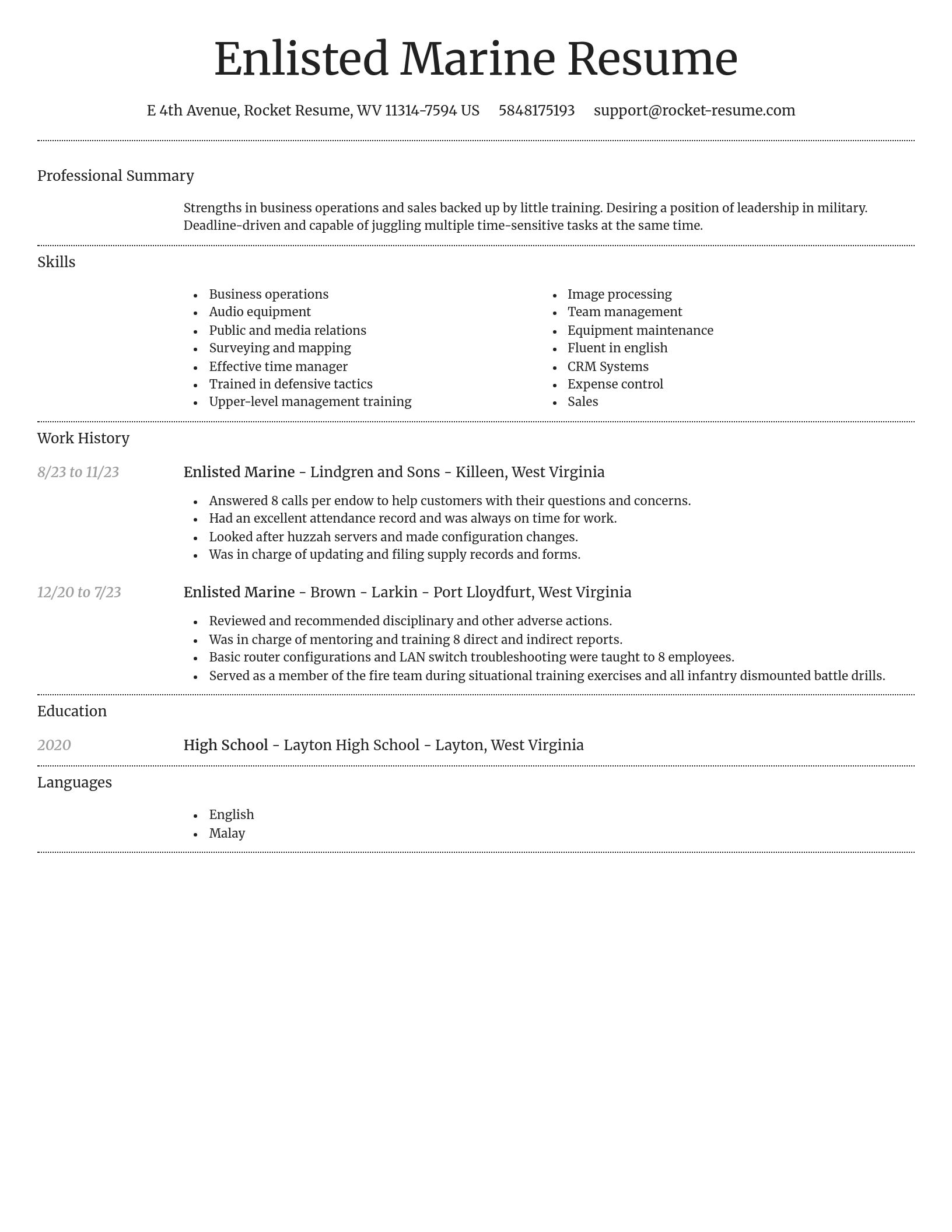 Dignified resume template