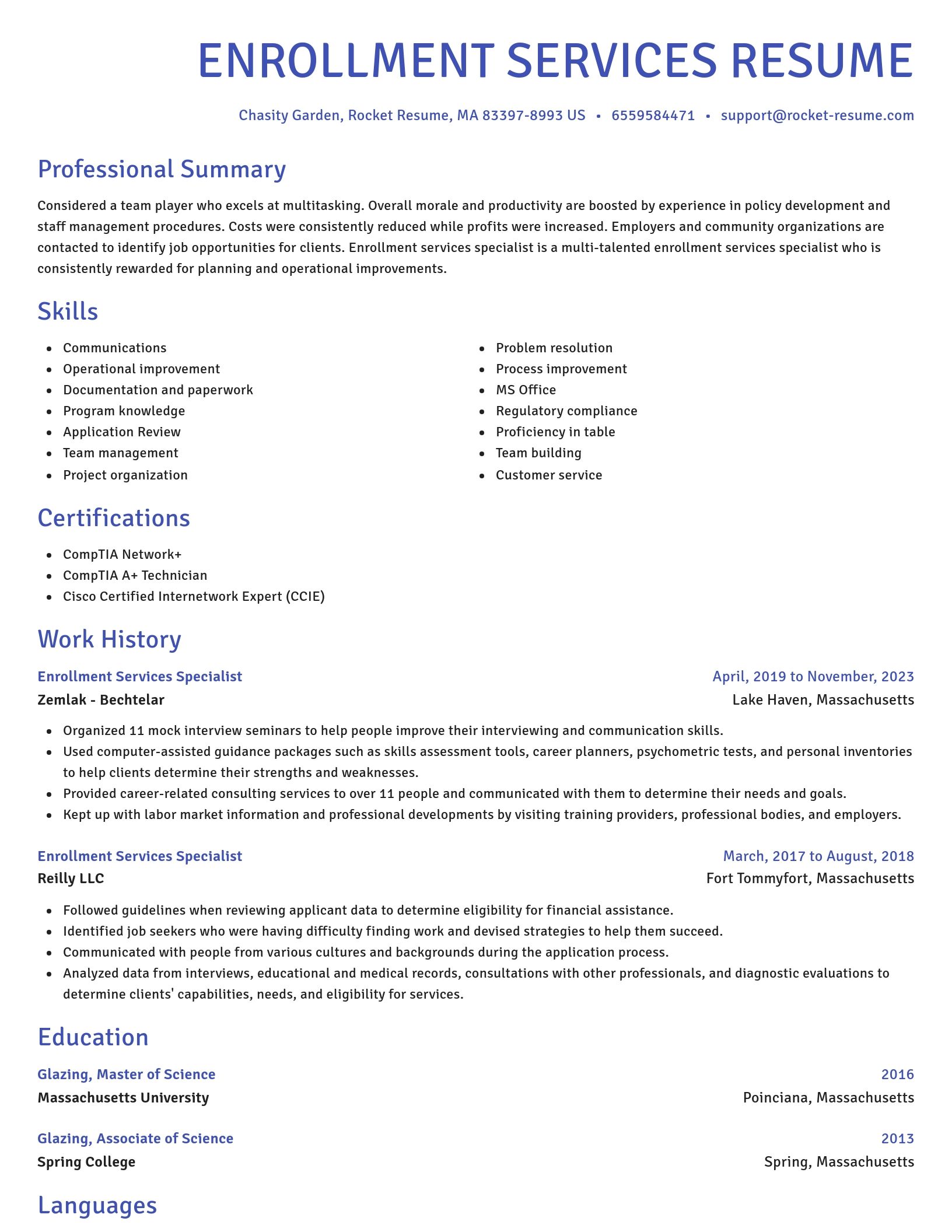 Novel resume template
