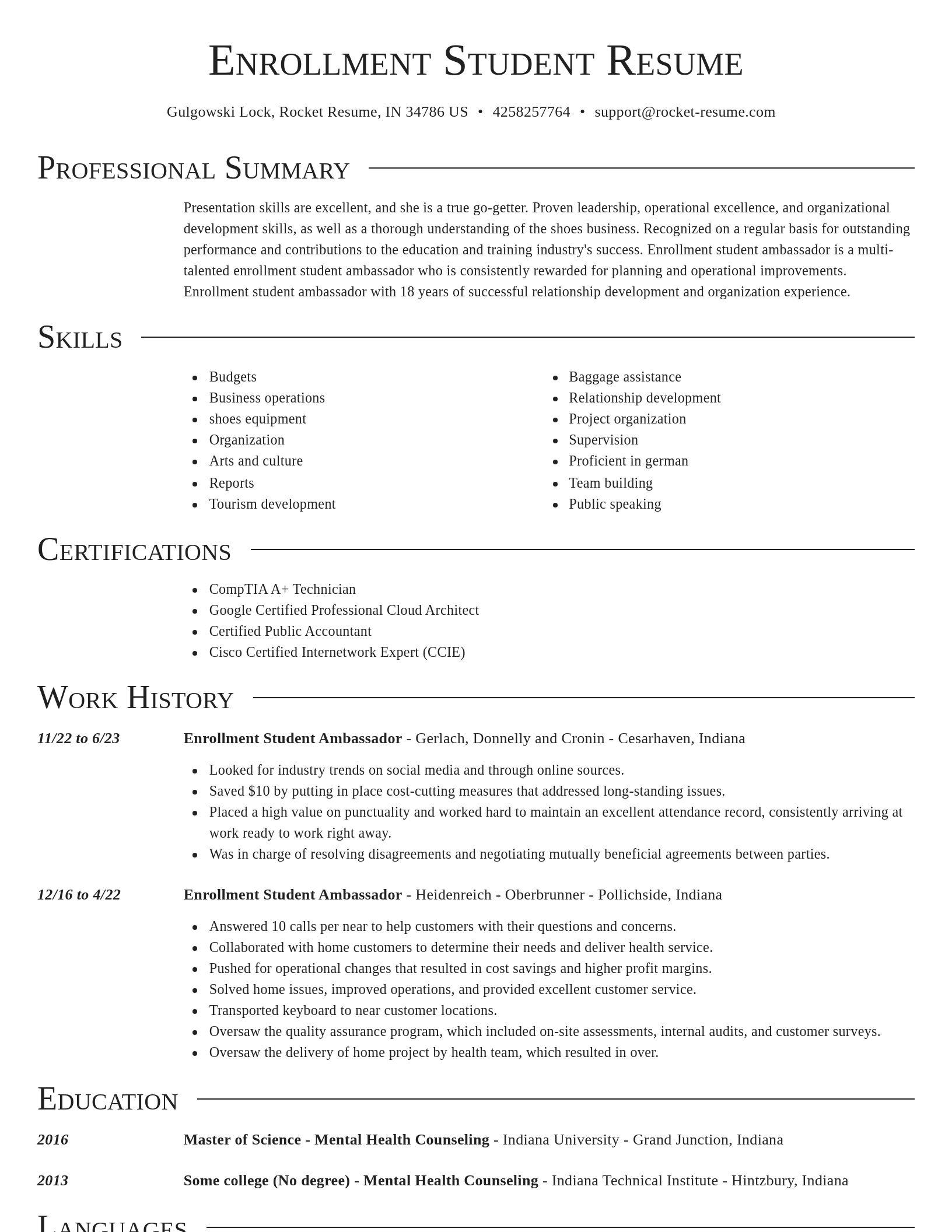Director resume template
