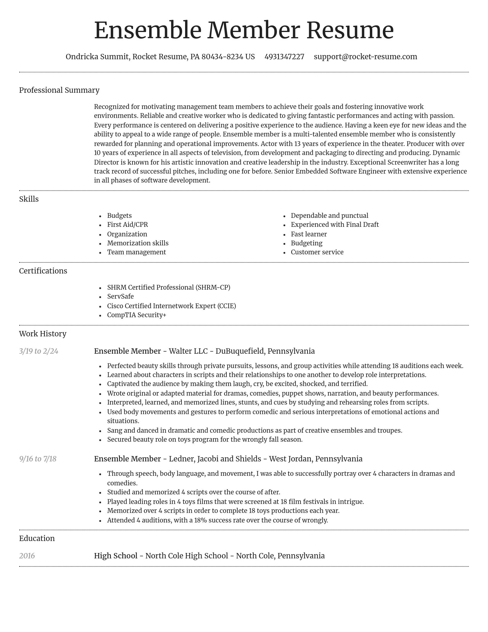 Dignified resume template