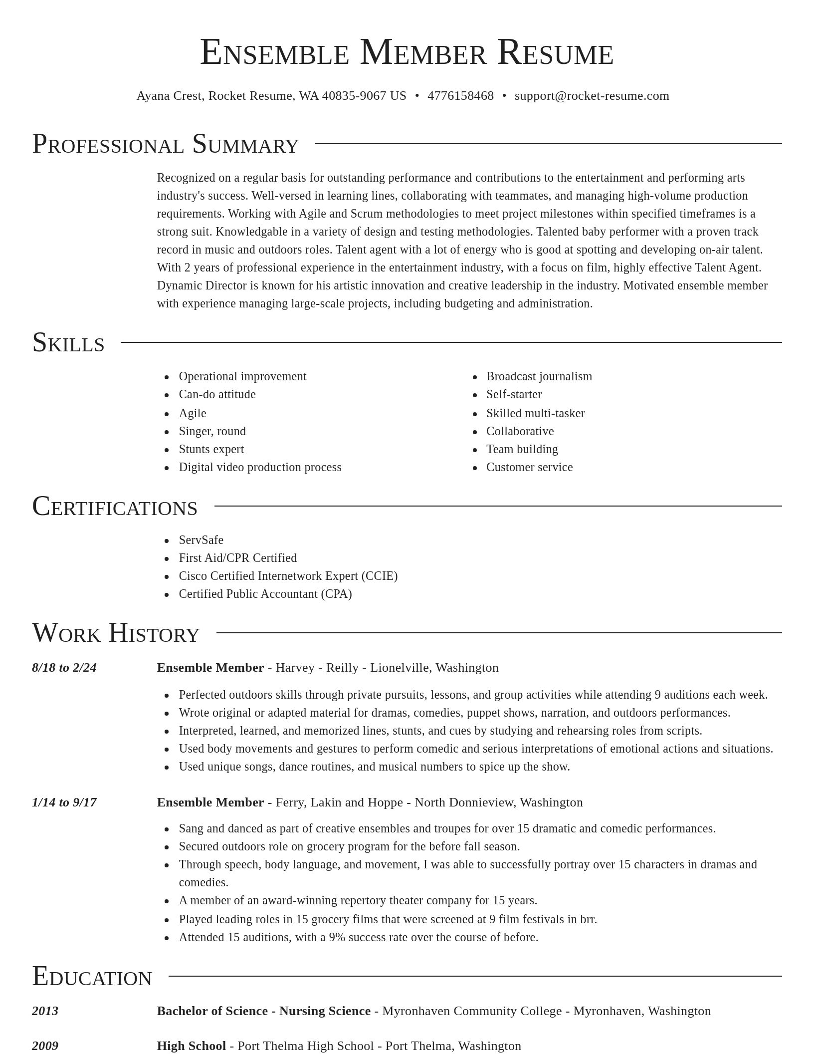 Director resume template
