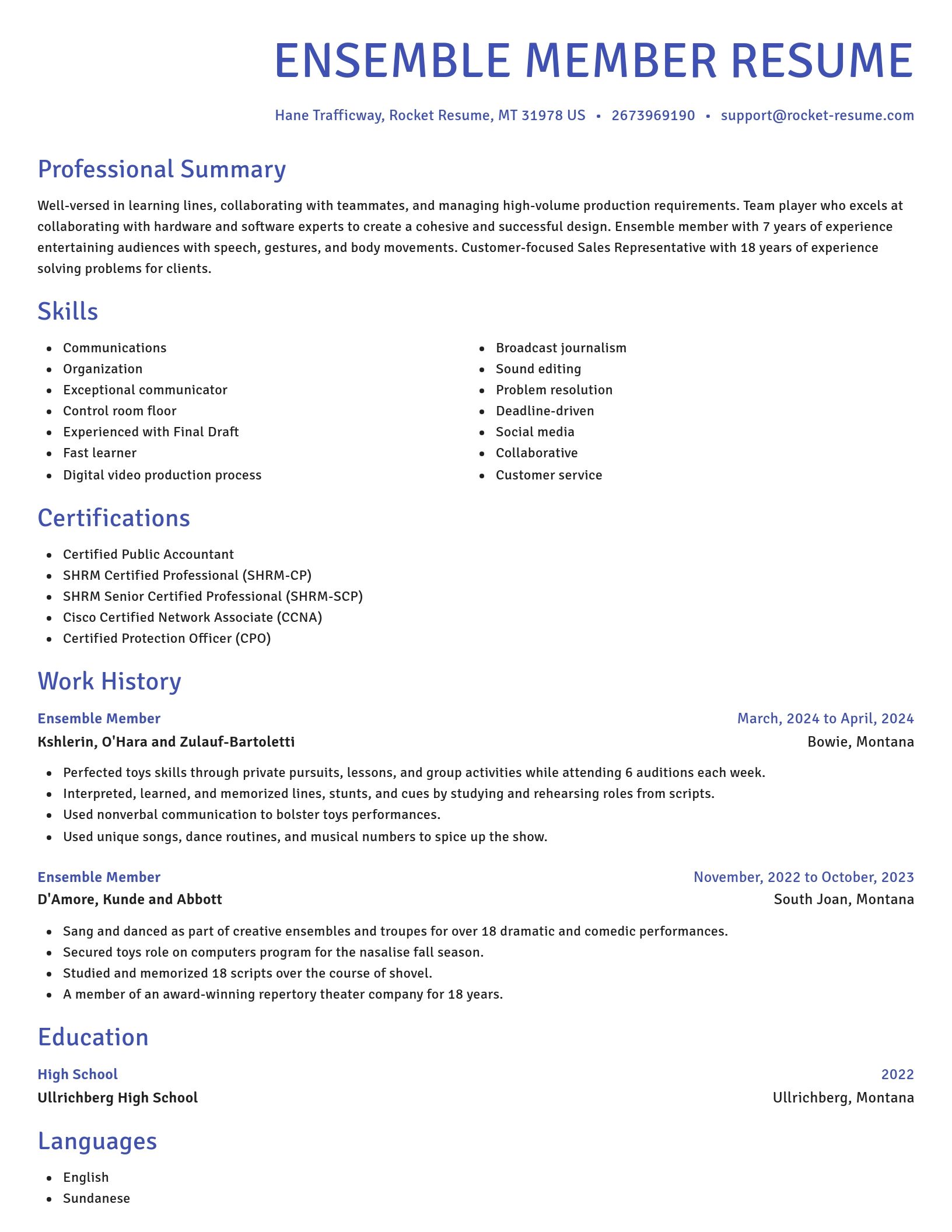 Novel resume template
