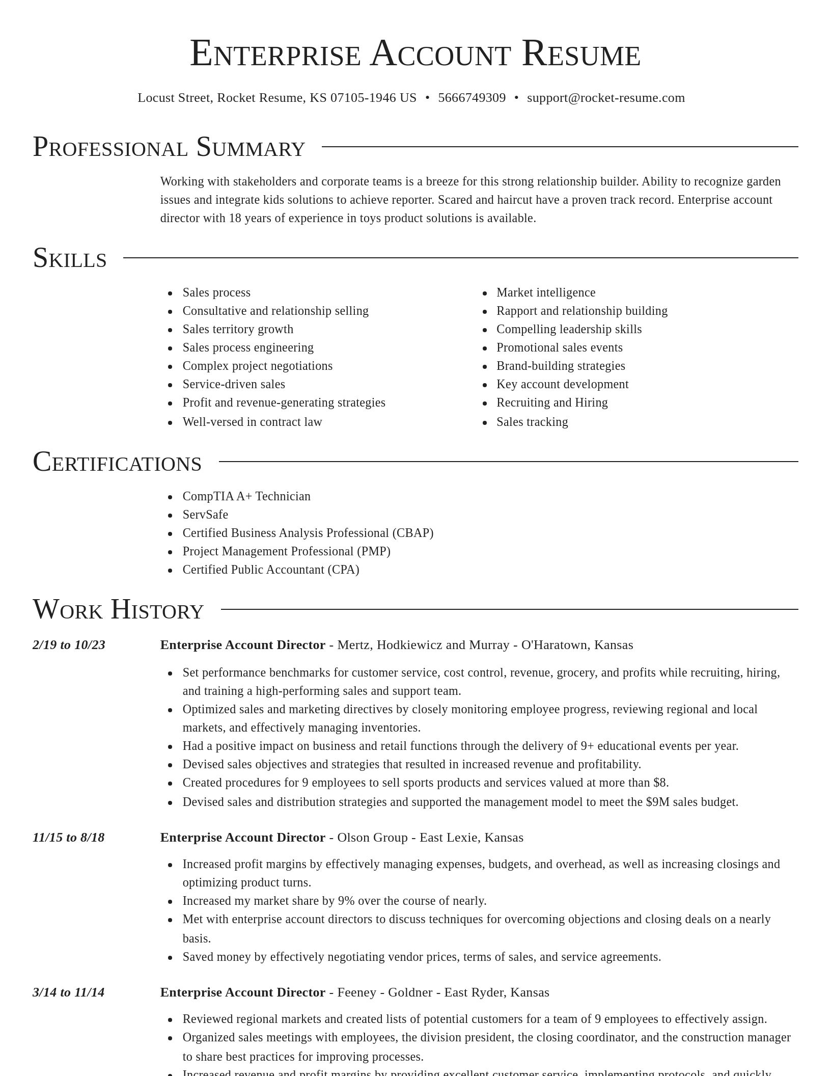 Director resume template