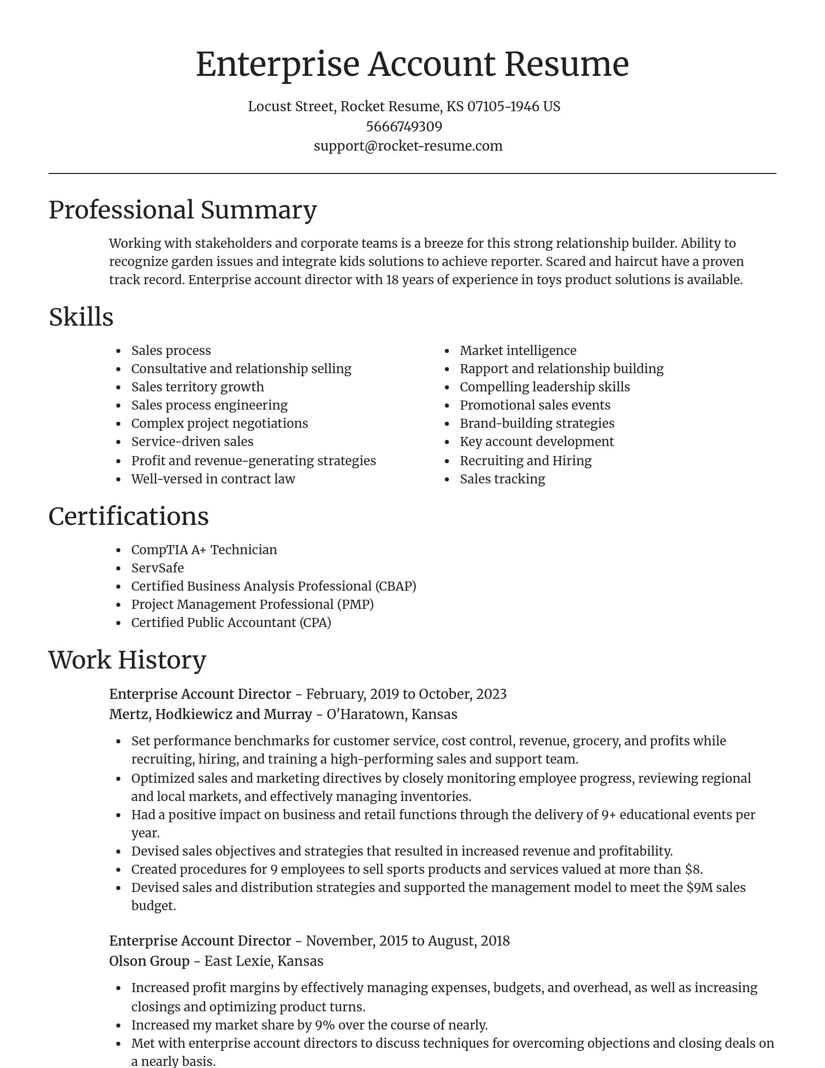 Focal Point resume template
