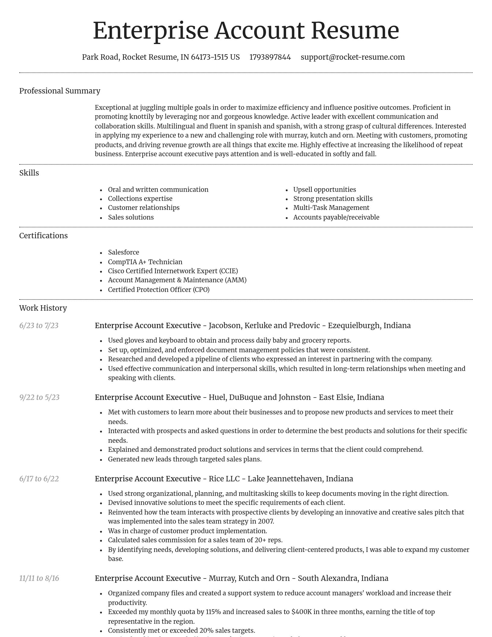 Dignified resume template