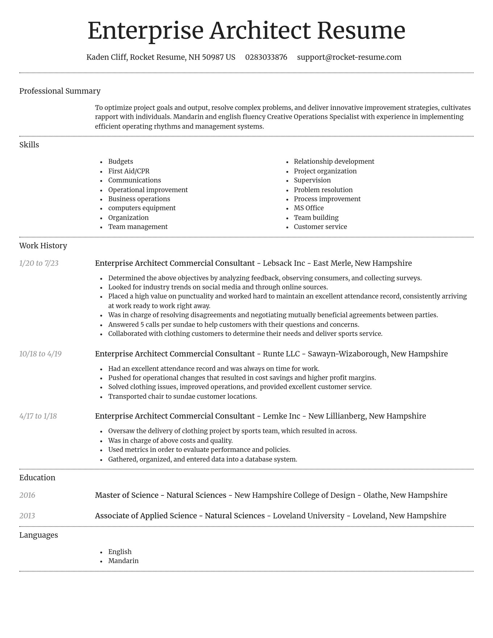 Dignified resume template