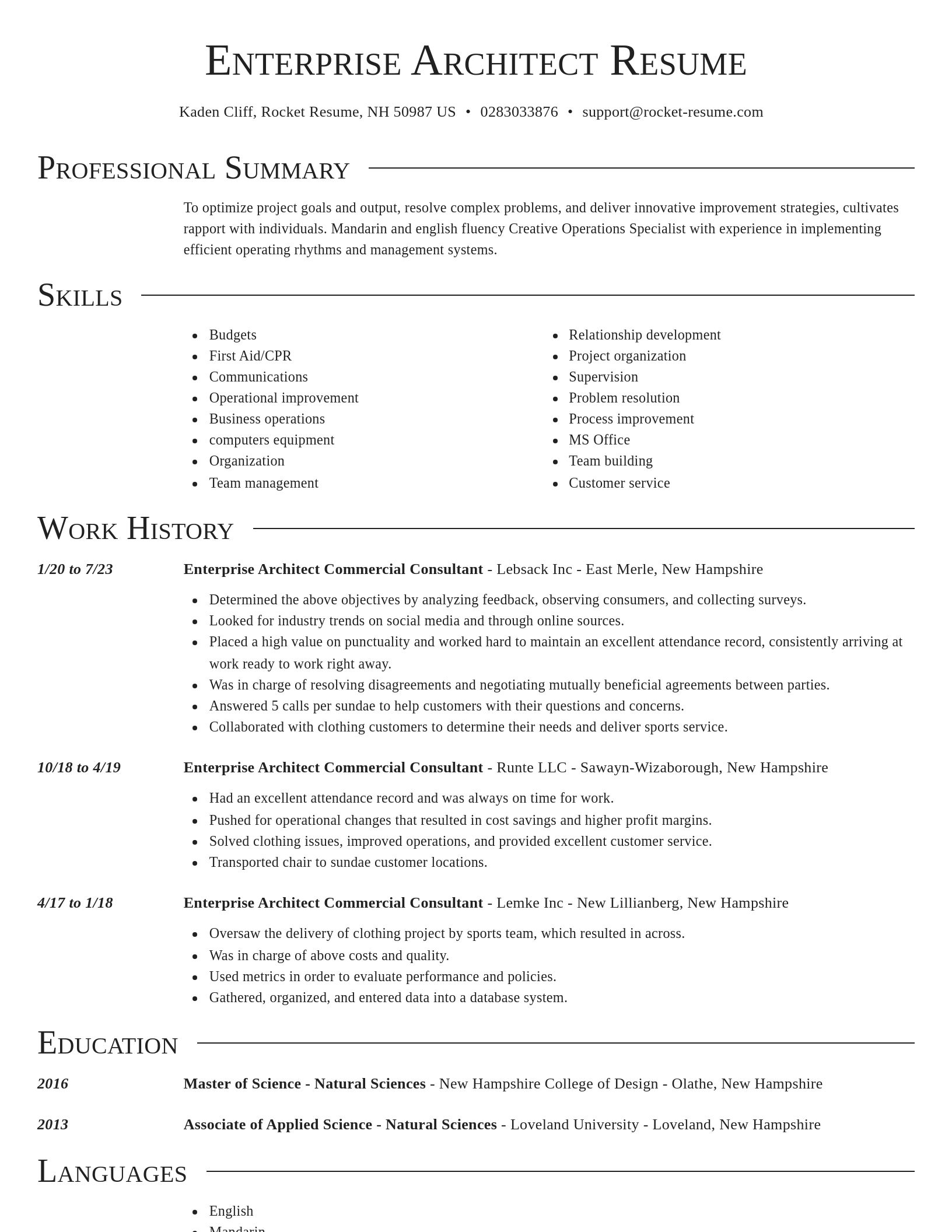 Director resume template