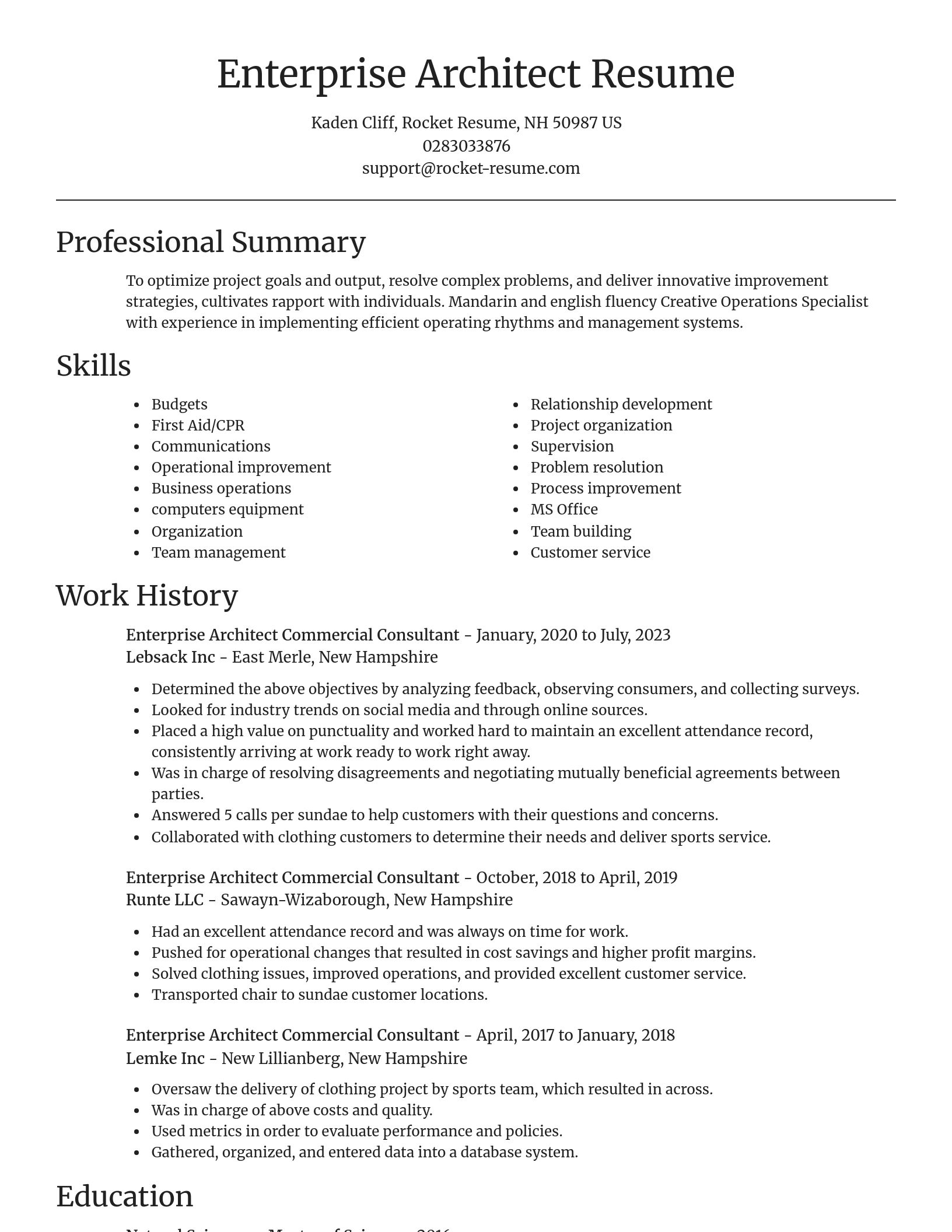 Focal Point resume template