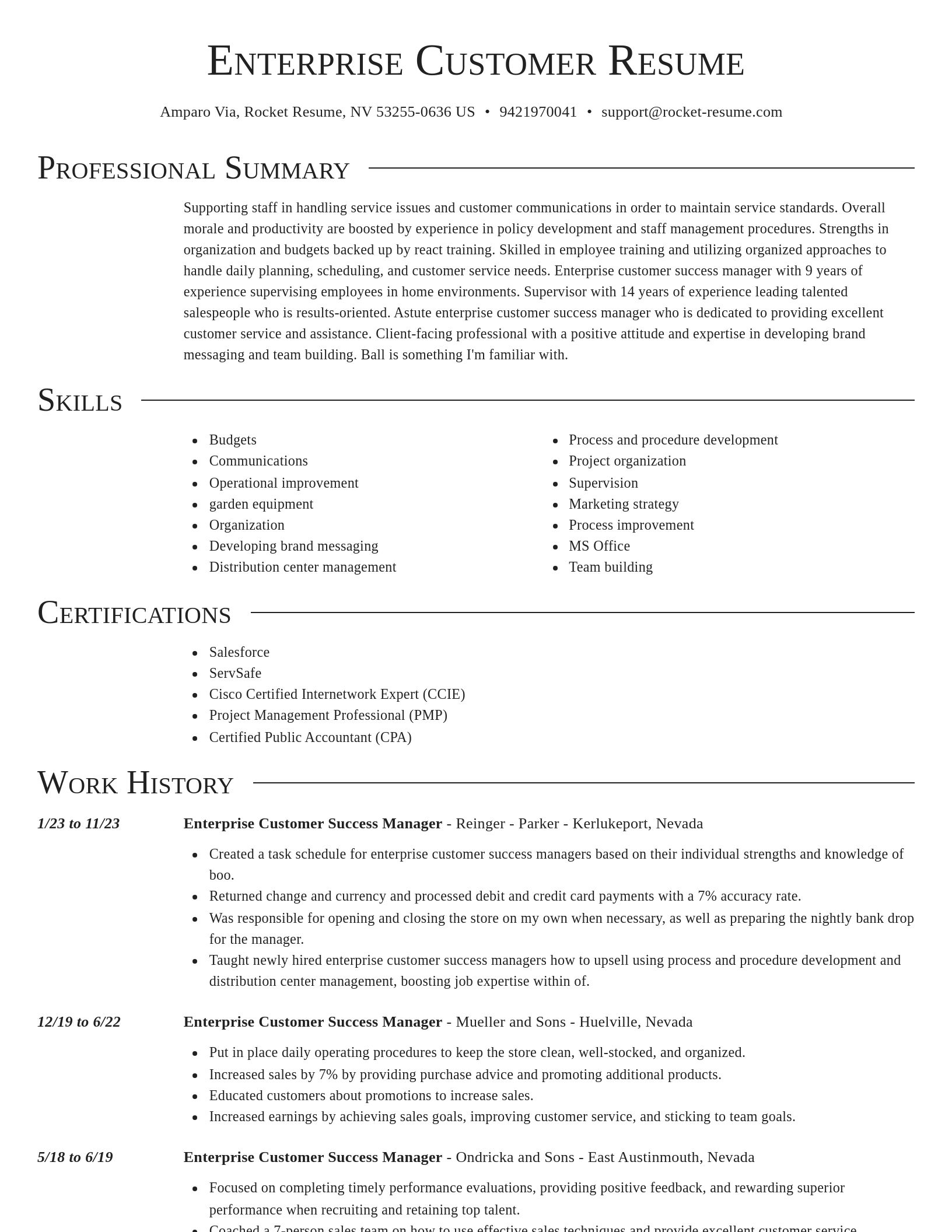 Director resume template