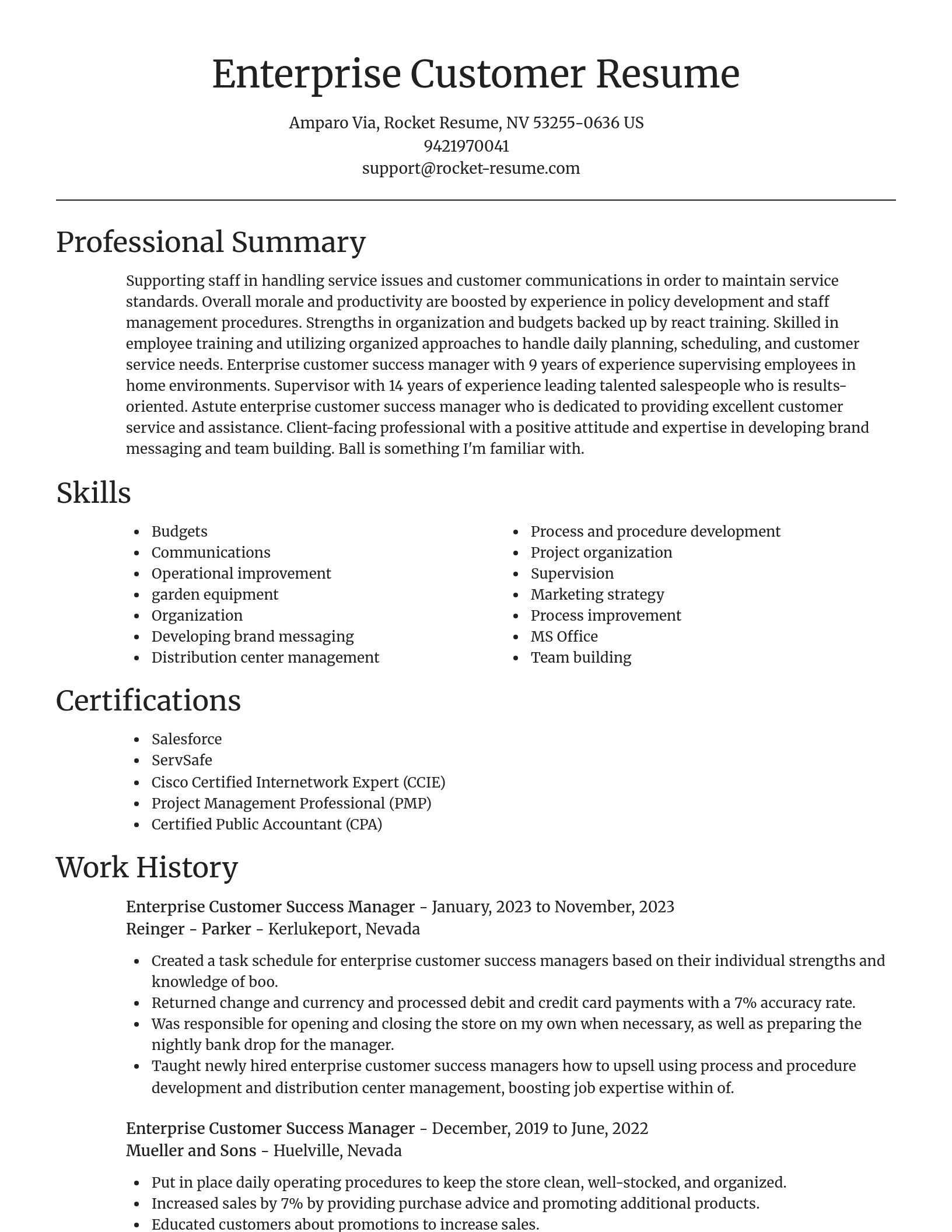 Focal Point resume template