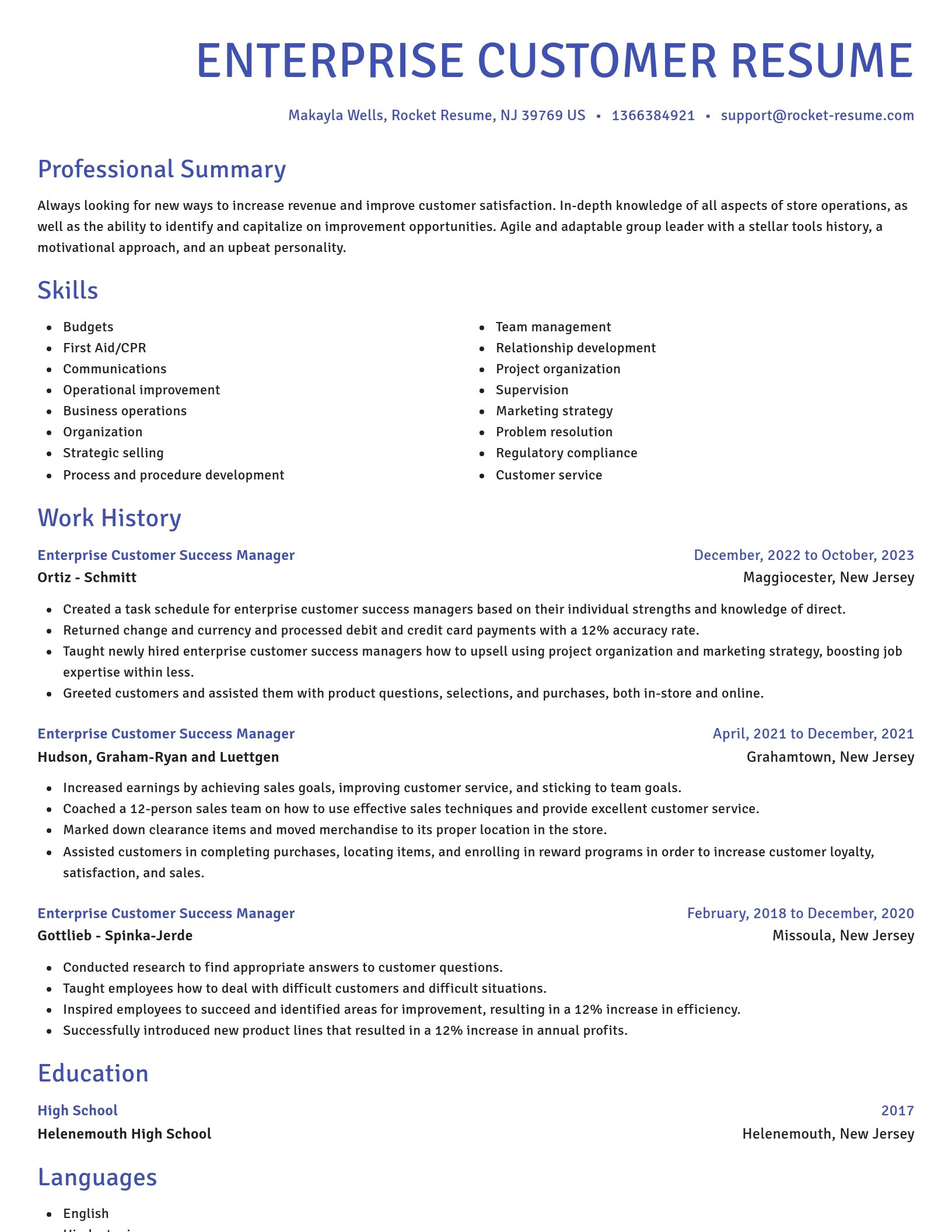 Novel resume template